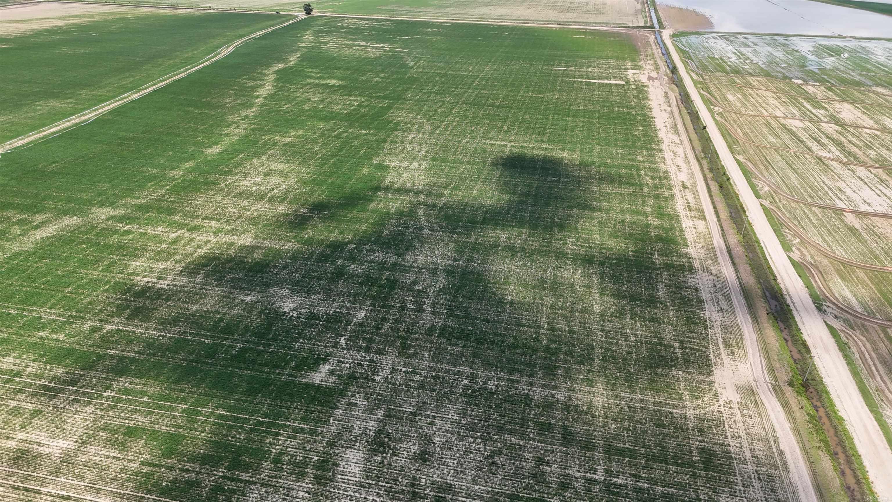 Not in Subdivision - Farm