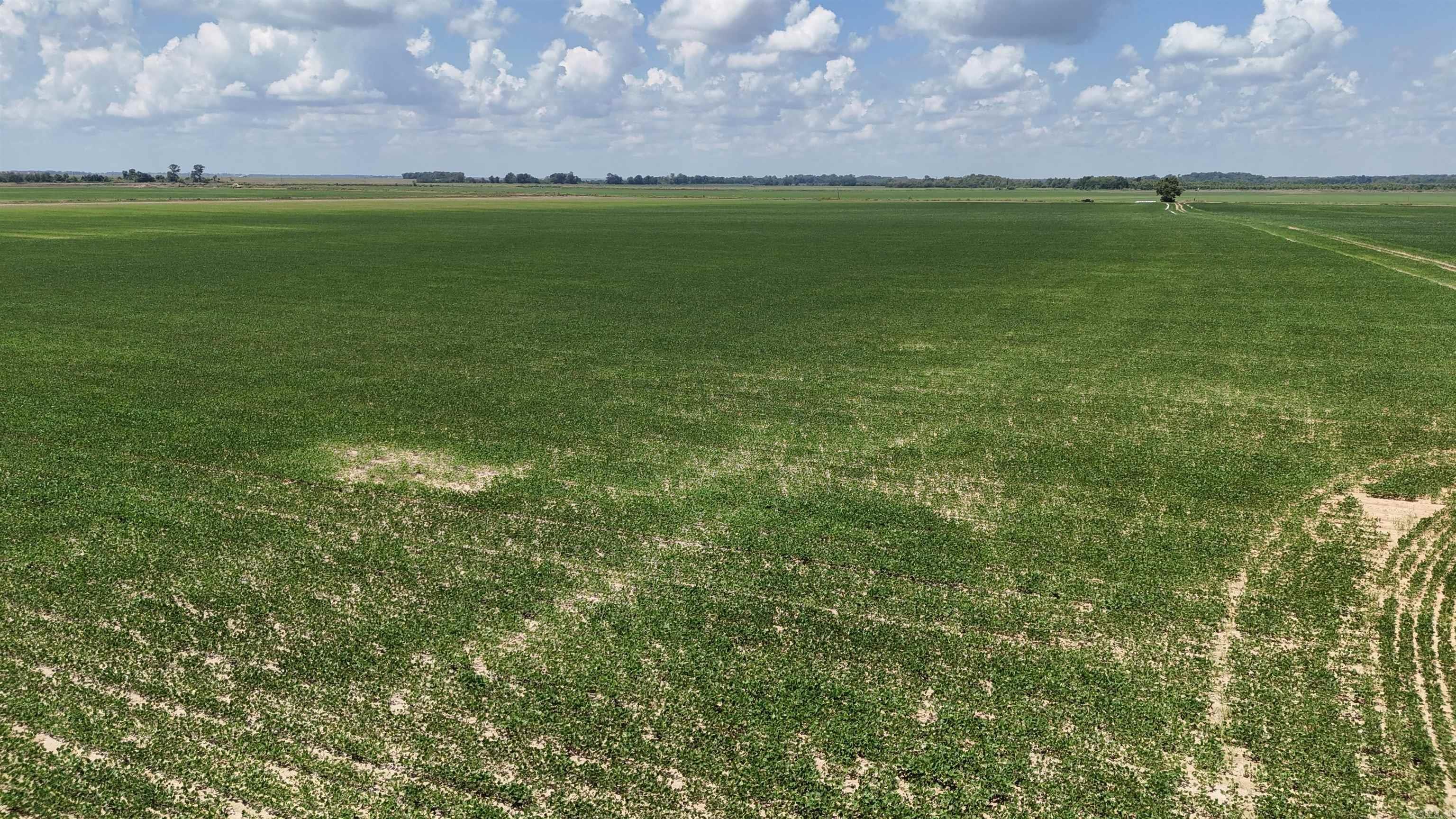 Not in Subdivision - Farm