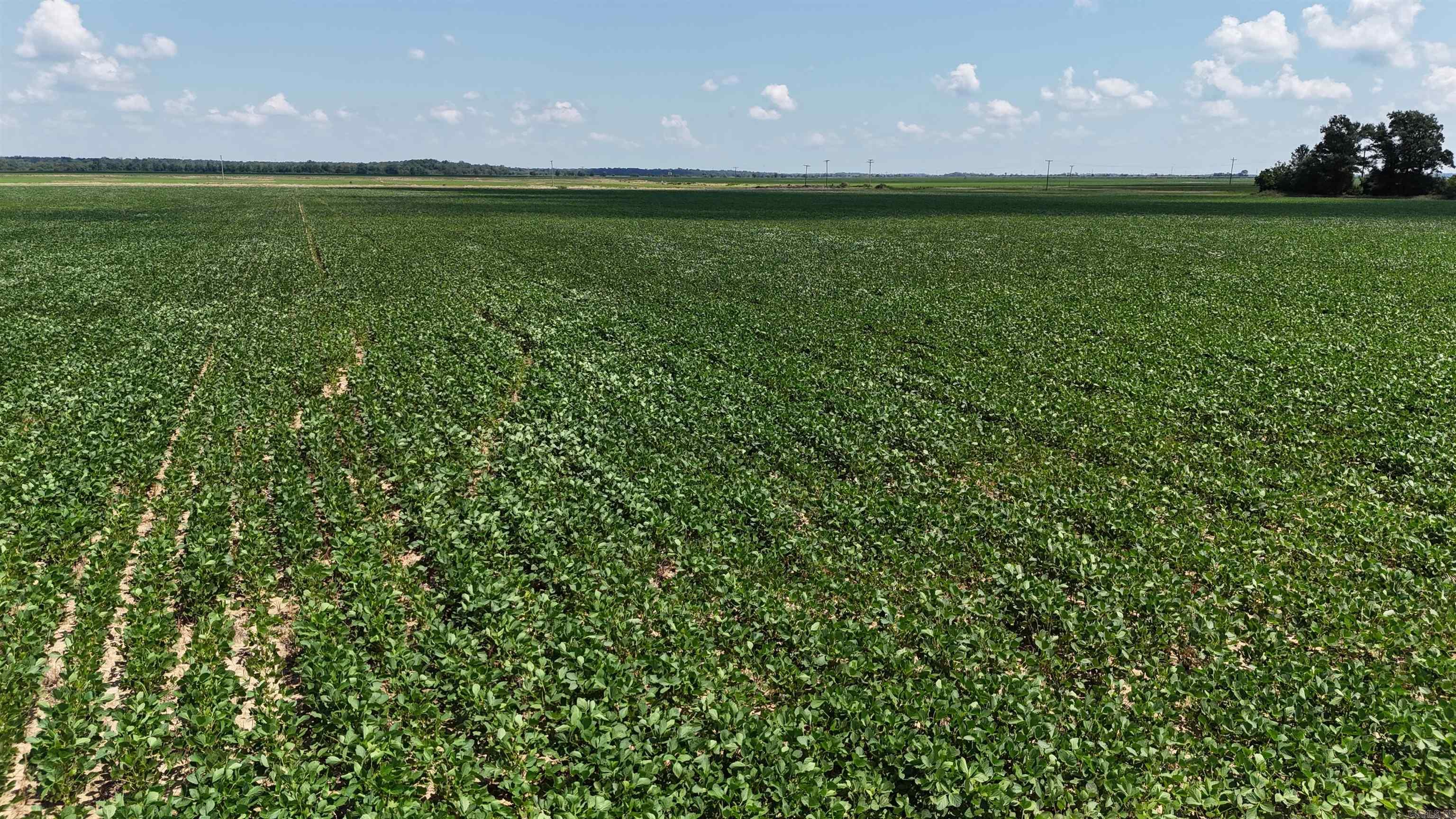 Not in Subdivision - Farm