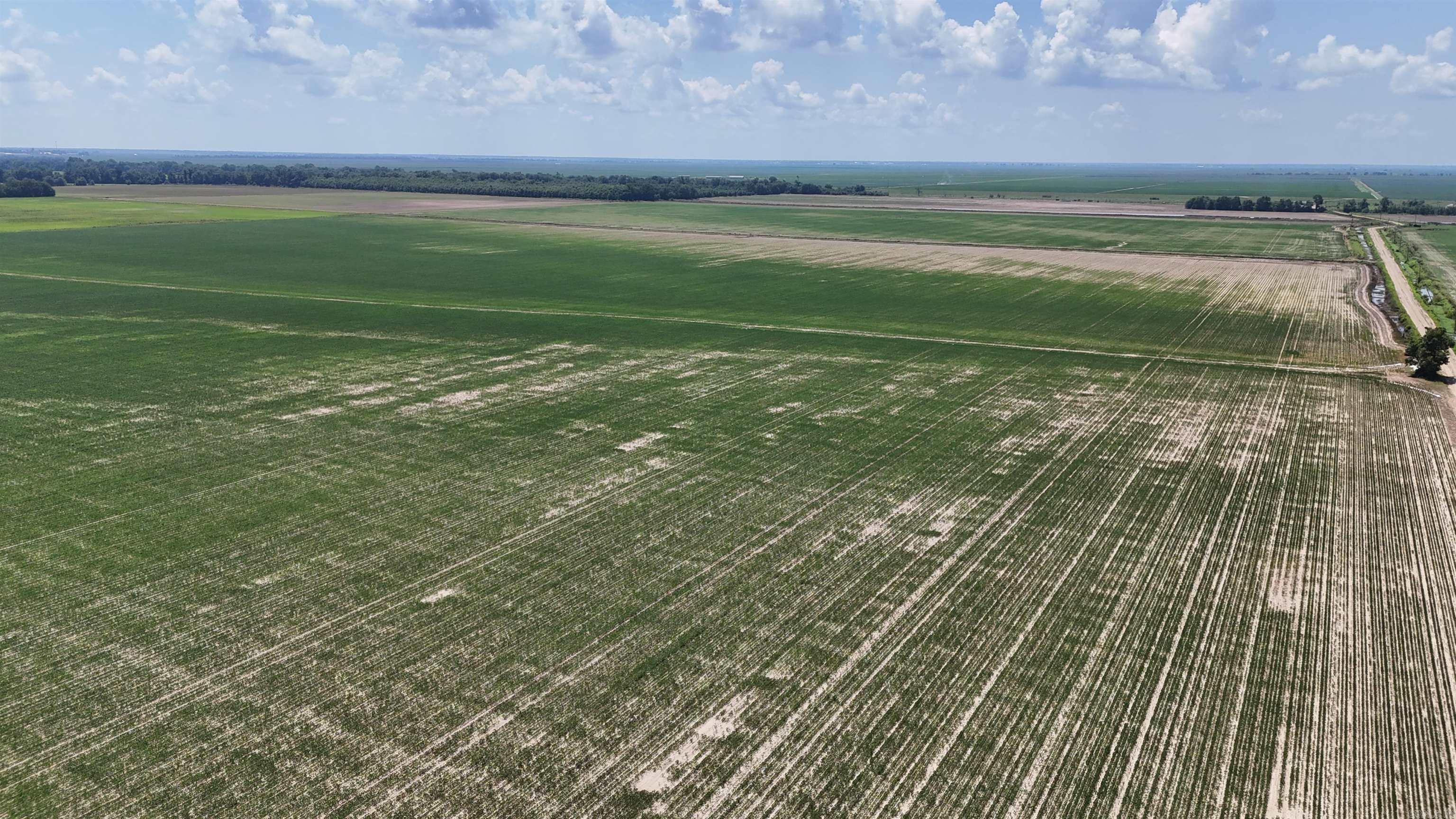 Not in Subdivision - Farm