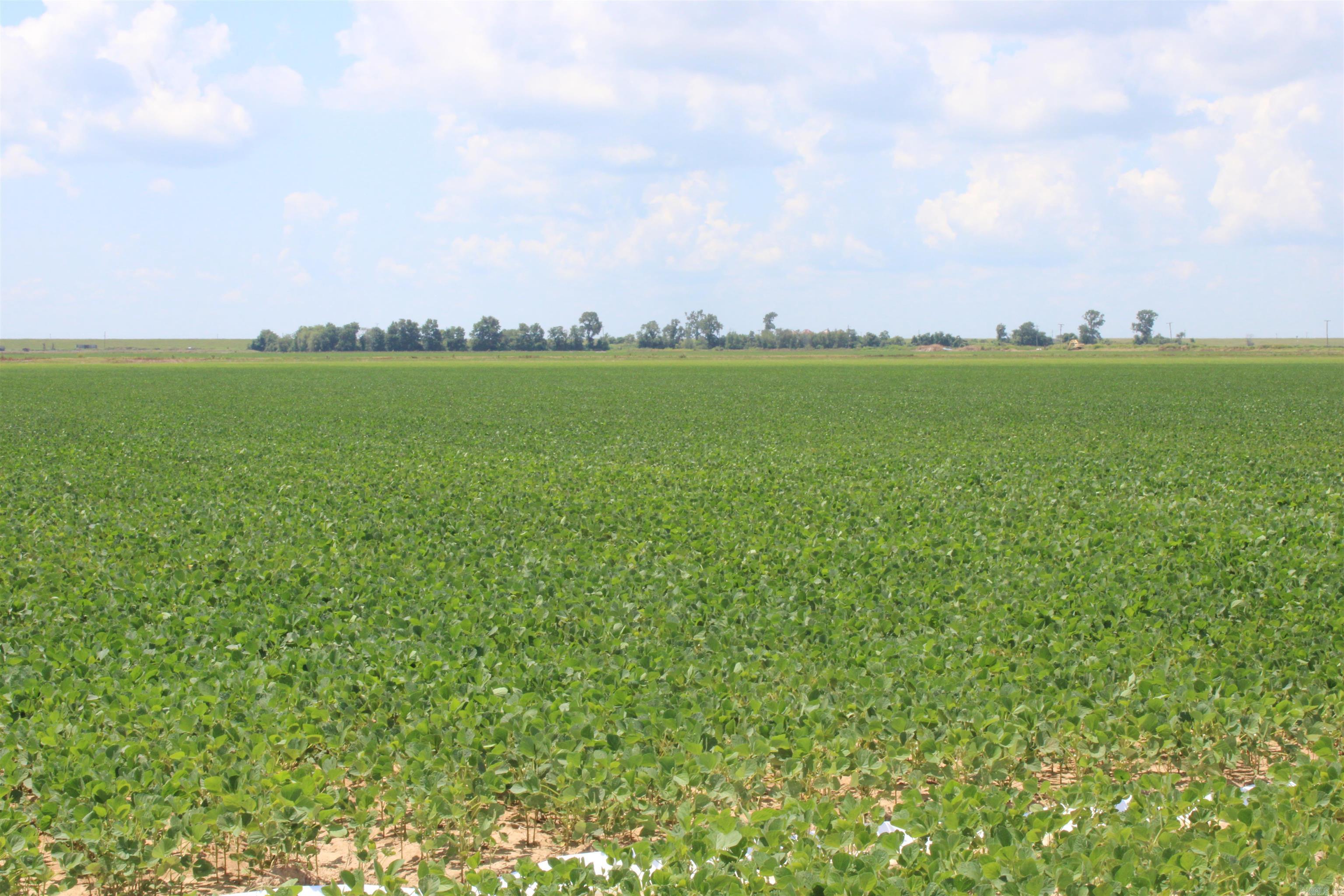 Not in Subdivision - Farm