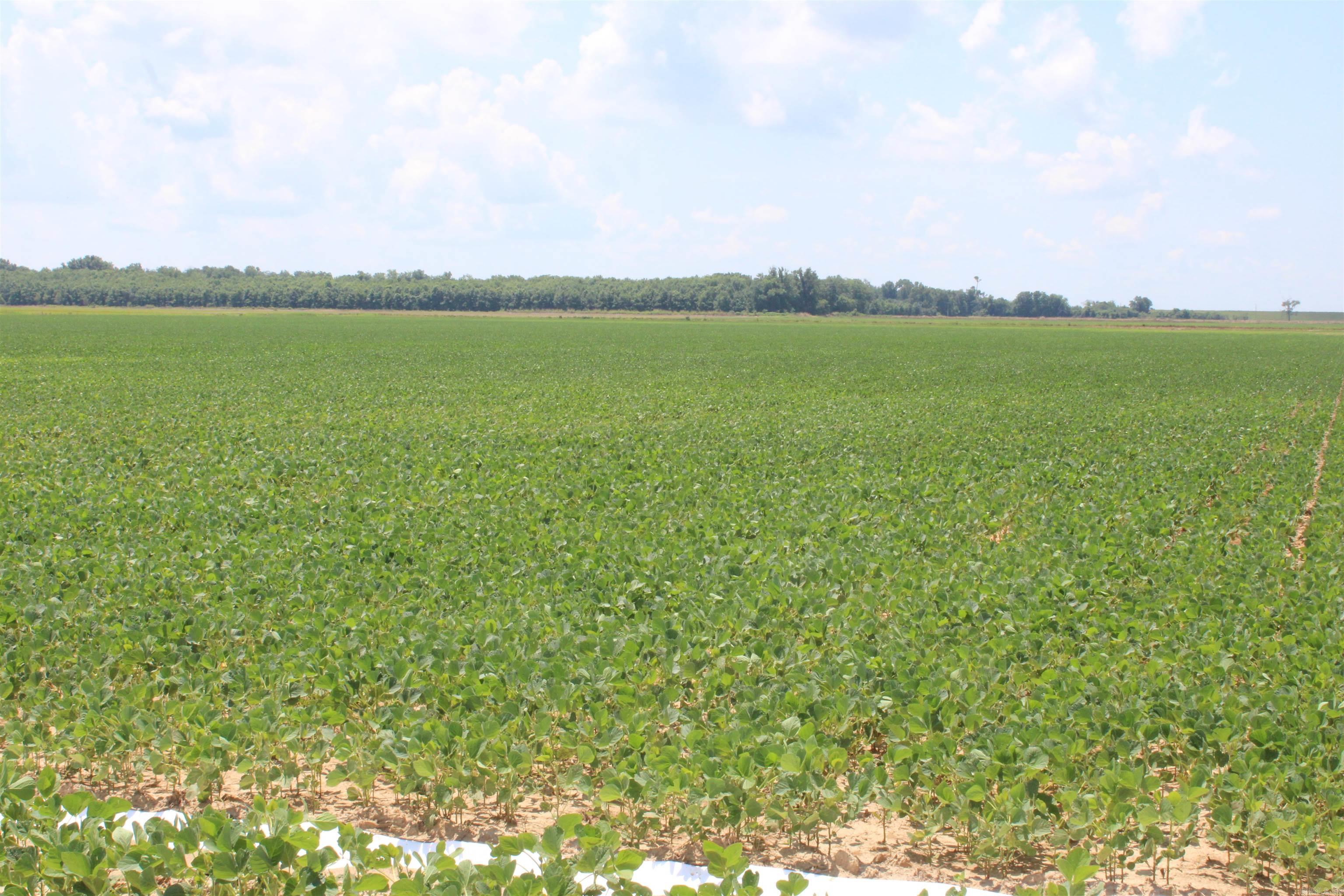 Not in Subdivision - Farm