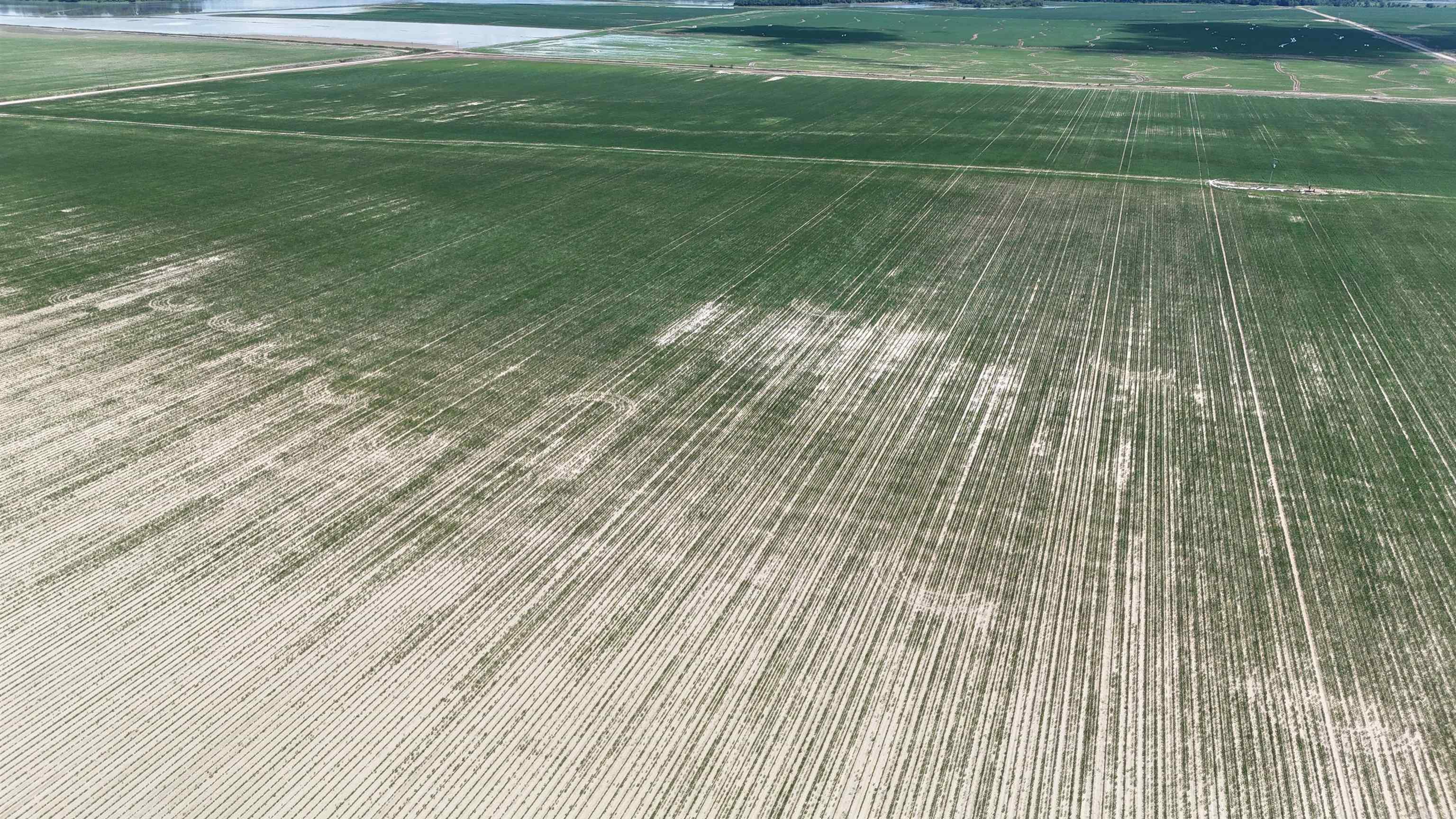 Not in Subdivision - Farm