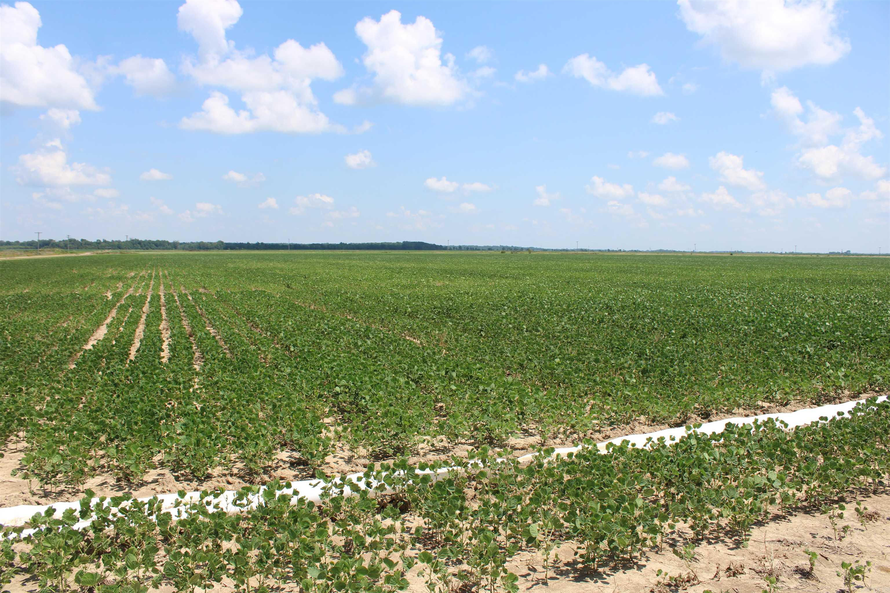 Not in Subdivision - Farm