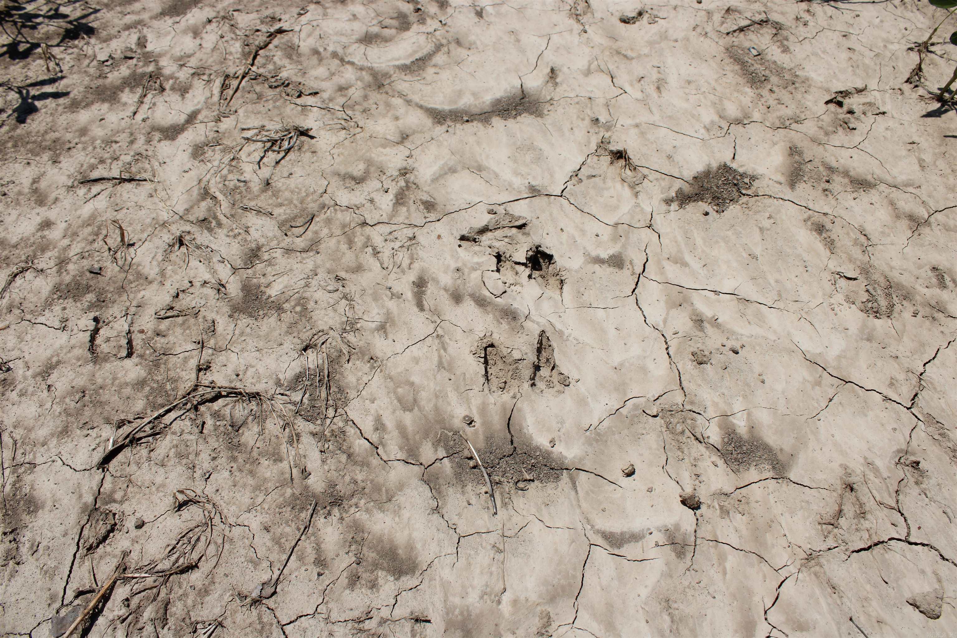 Not in Subdivision - Farm