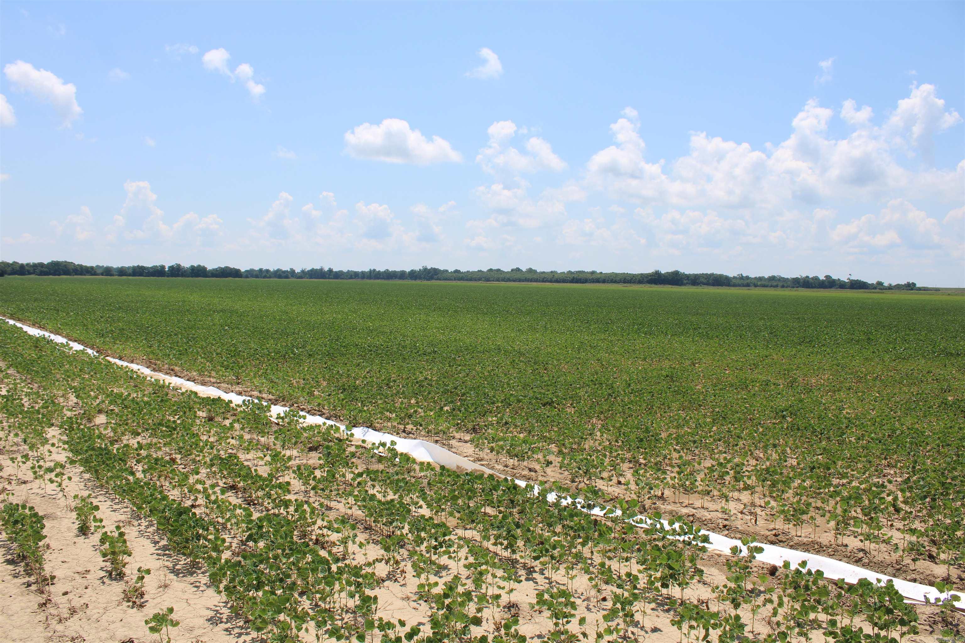 Not in Subdivision - Farm