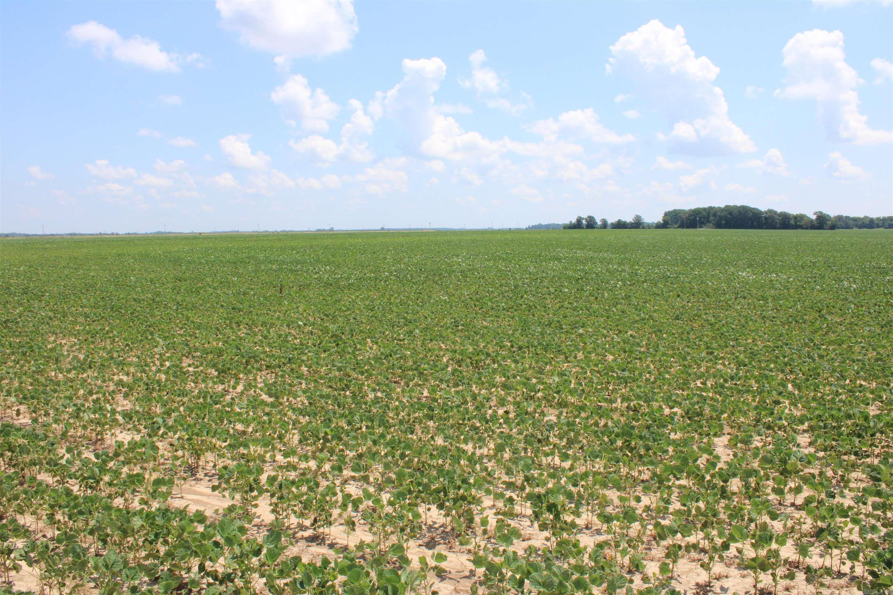 Not in Subdivision - Farm