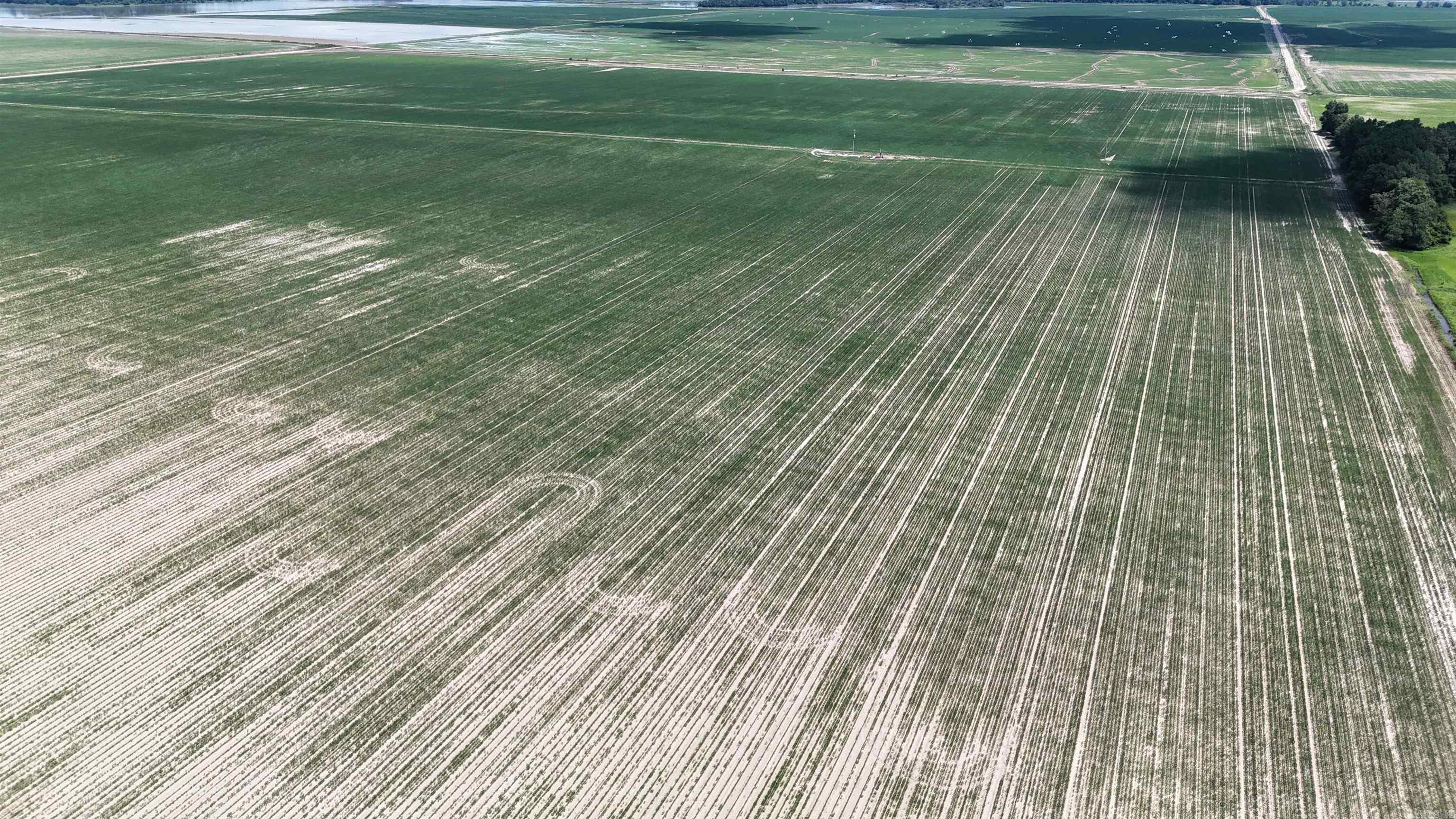 Not in Subdivision - Farm