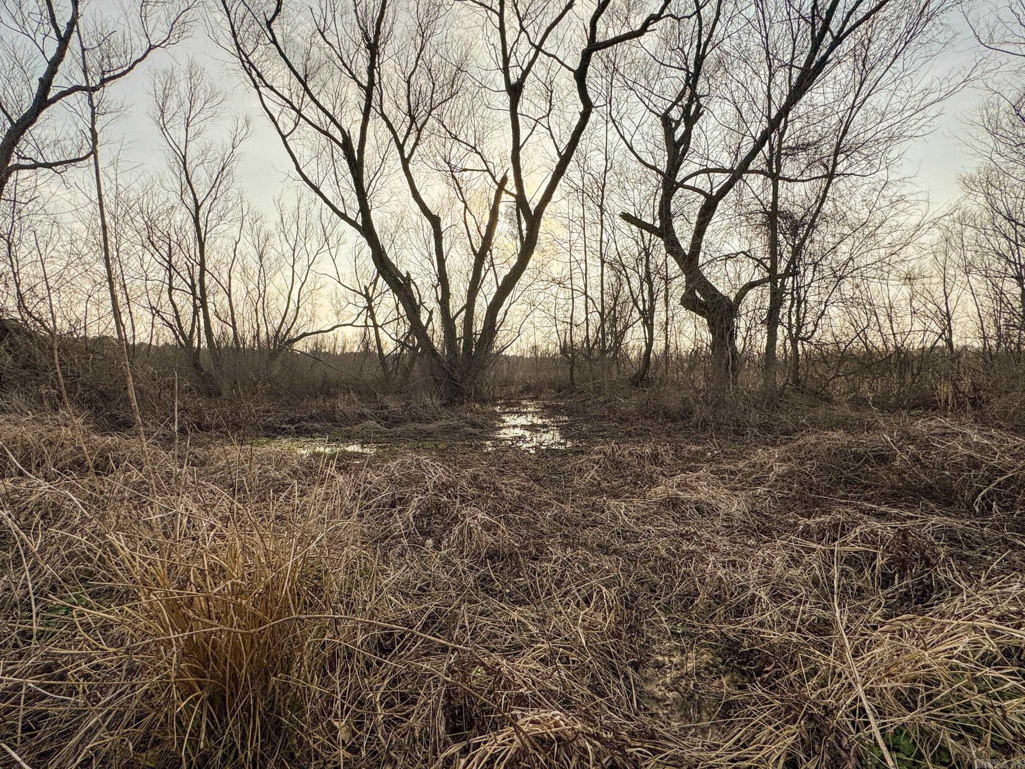 Metes & Bounds - Farm