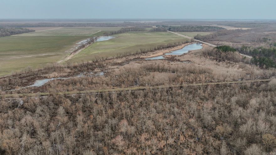 Arkansas Delta Hunting and Farming Property for Sale!  +/-80AC of Arkansas Delta that can be used for hunting, farming or recreation.  With natural wetland features and irrigated farmland, this property offers the opportunity to earn where you play.   Located in Monroe County, Arkansas, near the Dale Bumpers National Wildlife Refuge and the famed White River, this property is in a premier location for hunting. The property features wetlands with standing water, brush, grass, and willows on approximately half of its acreage.  This natural habitat is a magnet to the waterfowl that migrate to the Arkansas Delta in the late fall and winter months and present a natural piece of habitat for the budget minded hunter.    Additionally, the property includes high quality tillable, irrigated farmland acreage.  With an NCCPI average soil rating of 71.6; a rotation history of rice, corn, and soybeans; and an easy to access electric irrigation well, this property is a great, budget opportunity to own productive farmland.    The property is currently under lease to a tenant for $8,000 cash rent on an annual basis.  Maps are found in the documents showing soils, elevation, and boundaries.