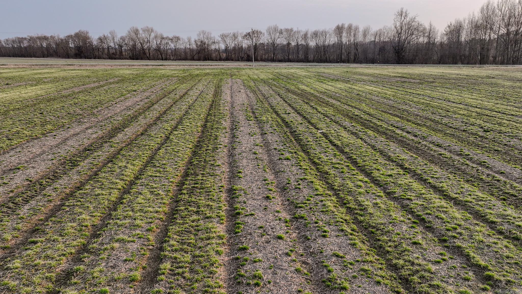 Metes & Bounds - Farm