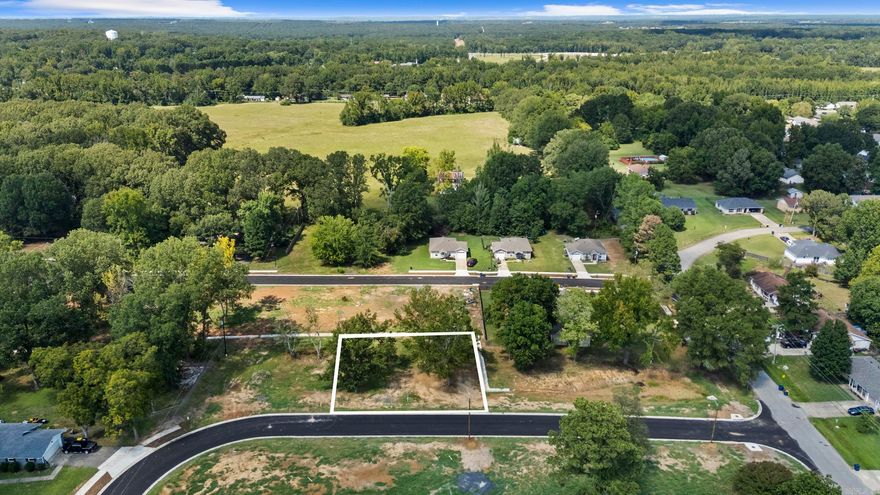 Level lot in Caiden Place subdivision in the heart of Cabot! Located within the highly rated Cabot School District, easy access to shopping, dining, and just a few miles from Little Rock and the Air Force Base! It is a must see! See agent remarks.