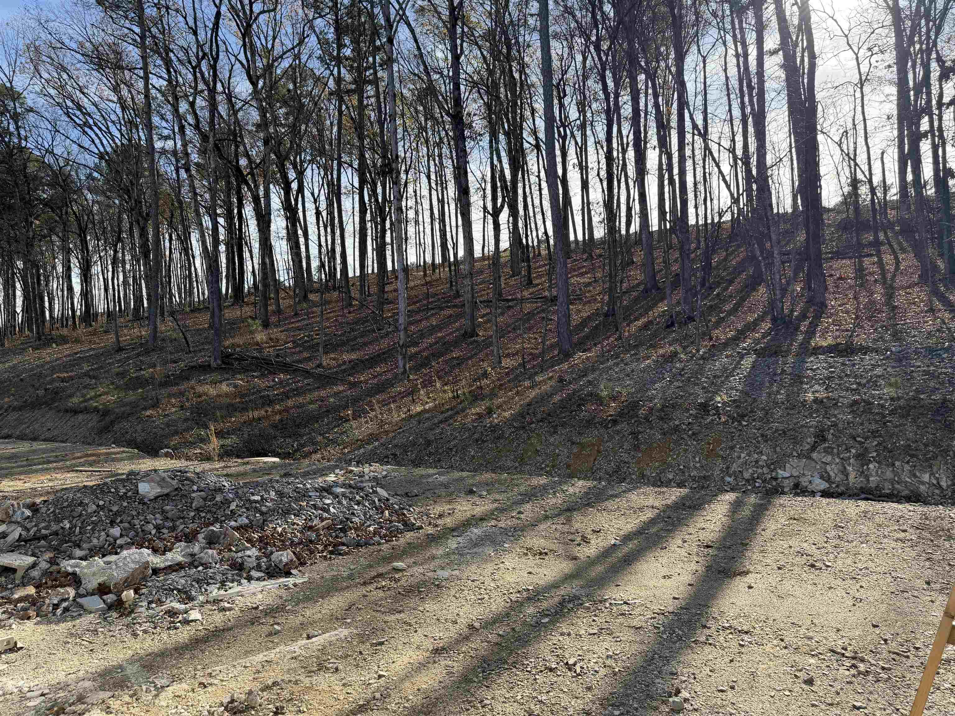 FLETCHER VALLEY "KINLEY RIDGE" - Residential