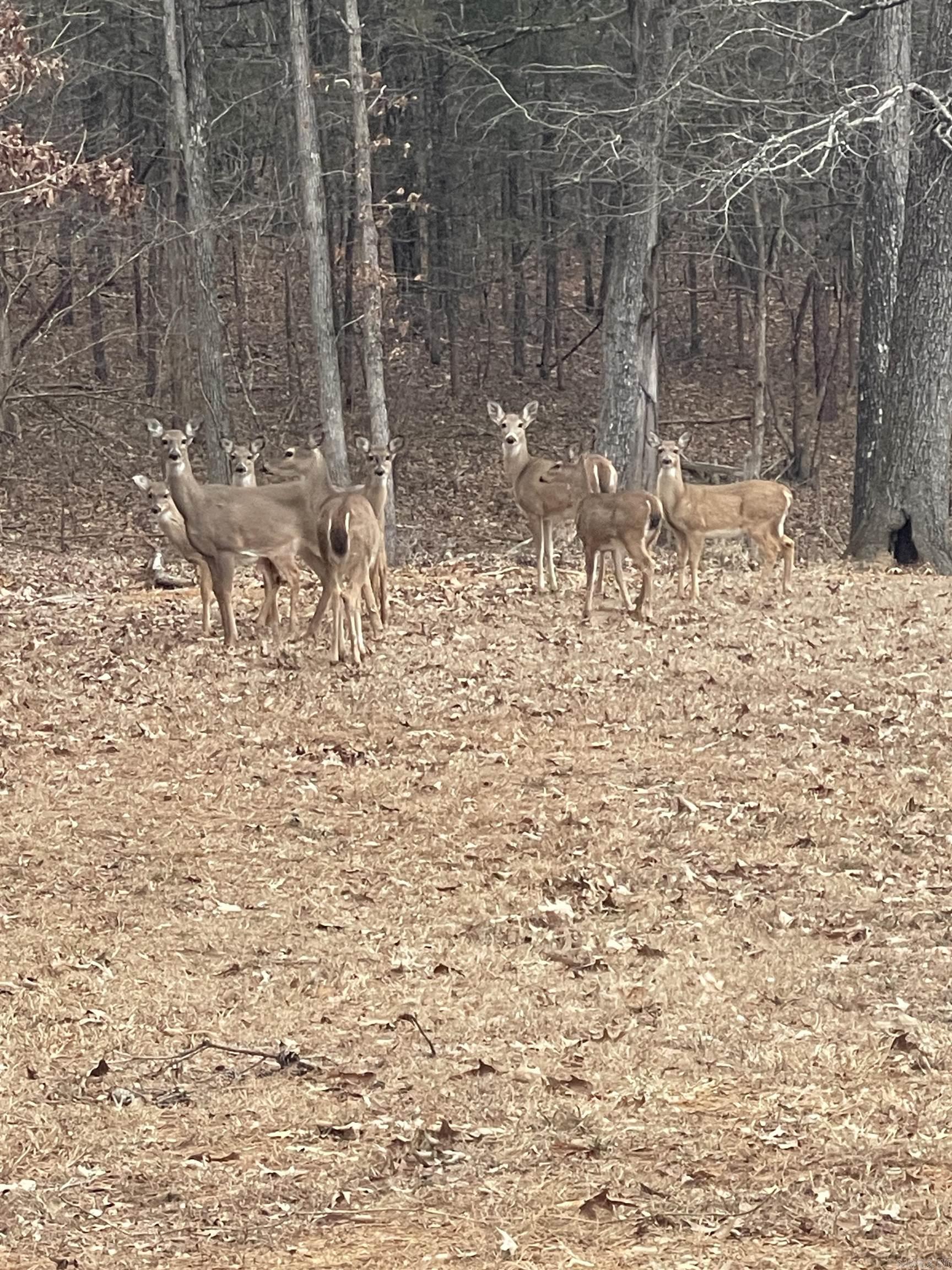 Lake Park Estates - Land