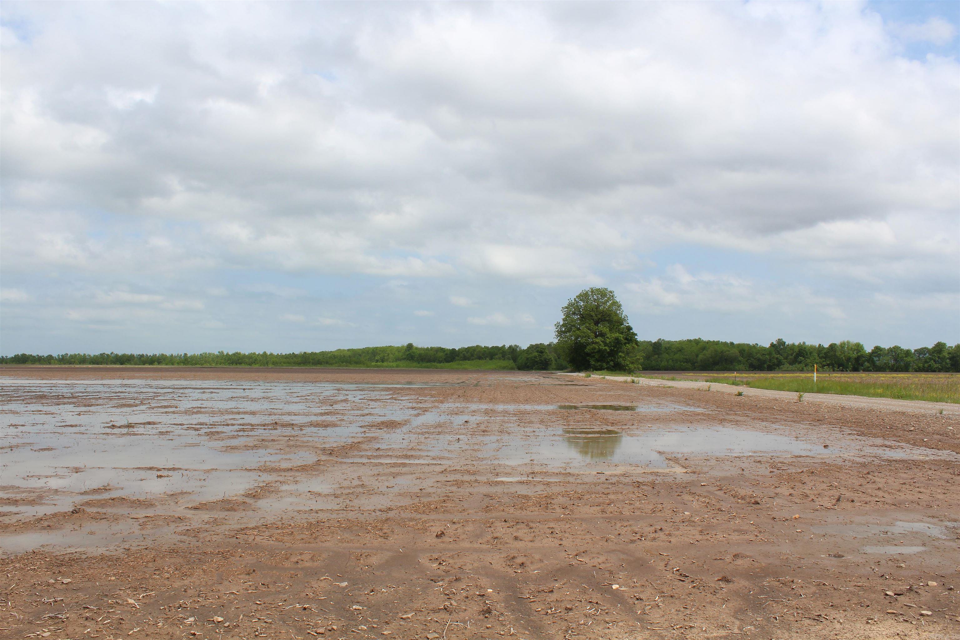 Not in Subdivision - Farm