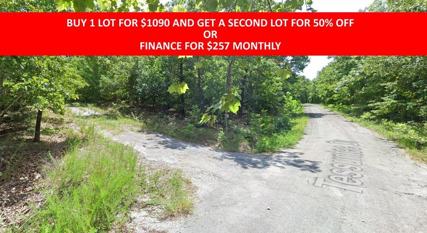 Buy one lot and get 50% off an additional lot! Part of a set of adjoining lots available. Owner-finance for easy terms. Cash buyers can pay by debit or credit card as well. Nice lot to develop or hold for future value. Public water and electric are available to run to property and will need septic. Owner/agent. No mobiles allowed. 300-2500 minimum build size on any other type of home, depending on subdivision. Finance is 5 months at $257 and closing costs are included. Buyer responsible for any back, current and future taxes owed on this property. Lots marked with red banner are part of promotion. No limit on lots. Buyer responsible for any/all taxes and lots sold "as-is". Quit claim deed conveys. Parcel ID# 180-13168-000