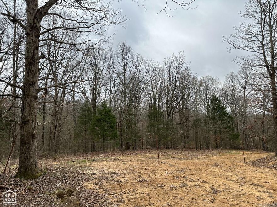 This is a wonderful opportunity to have your own acreage close to Harrisburg and Jonesboro also. Not too far out but far enough to be very comfortable country living and maybe even own cattle if you choose! Water and electric is available at the road.