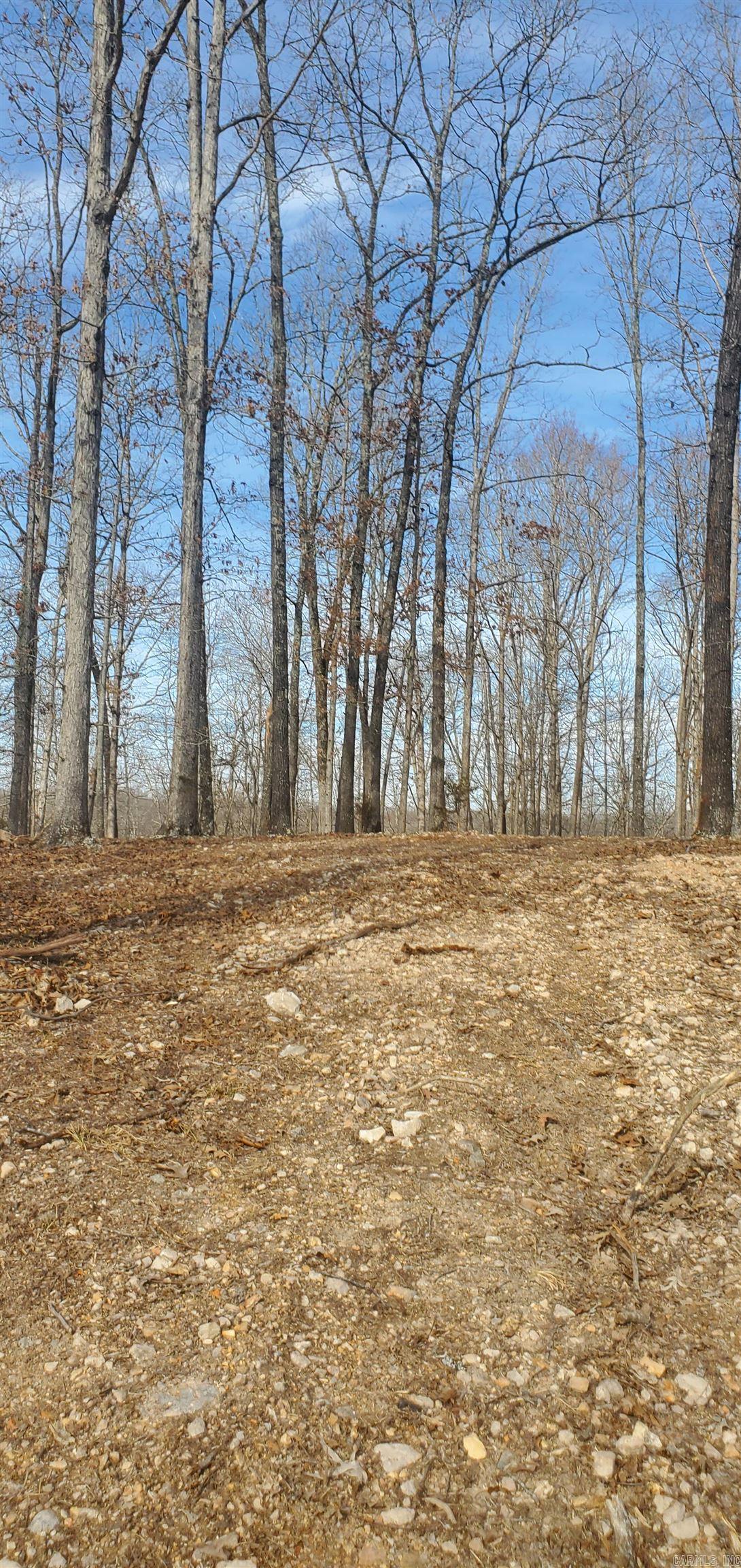 This lot is being divided. Seller will pay for a new survey. Utilities are at the road.
