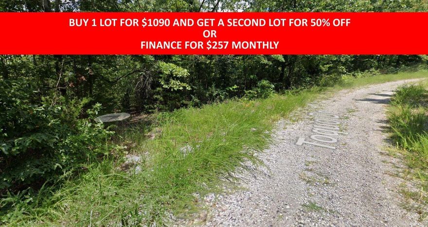 Buy one lot and get 50% off an additional lot! Part of a set of adjoining lots available. Owner-finance for easy terms. Cash buyers can pay by debit or credit card as well. Nice lot to develop or hold for future value. Public water and electric are available to run to property and will need septic. Owner/agent. No mobiles allowed. 300-2500 minimum build size on any other type of home, depending on subdivision. Finance is 5 months at $257 and closing costs are included. Buyer responsible for any back, current and future taxes owed on this property. Lots marked with red banner are part of promotion. No limit on lots. Buyer responsible for any/all taxes and lots sold "as-is". Quit claim deed conveys. Parcel ID# 200-13736-000