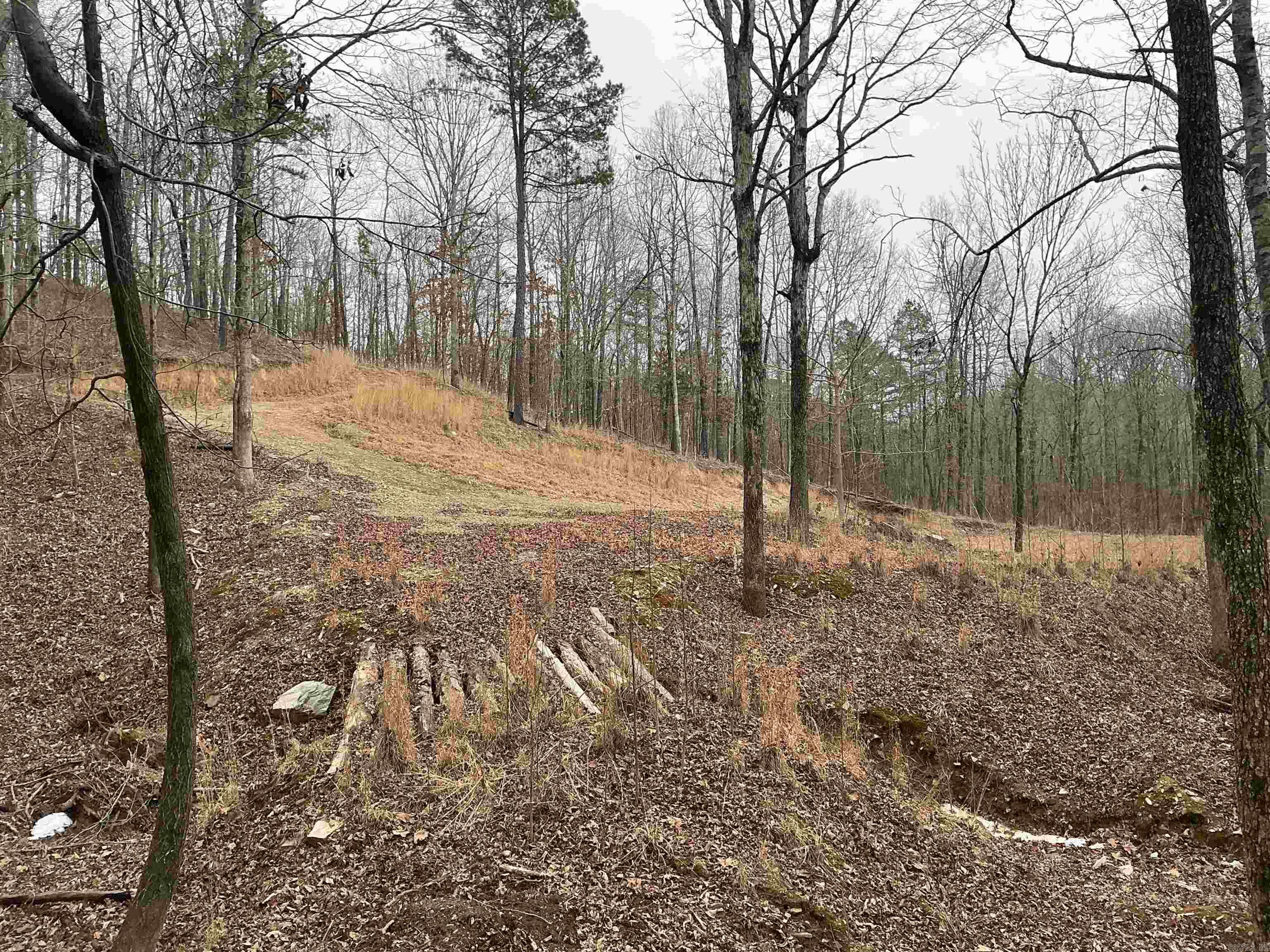 Lakeside Mountain - Land