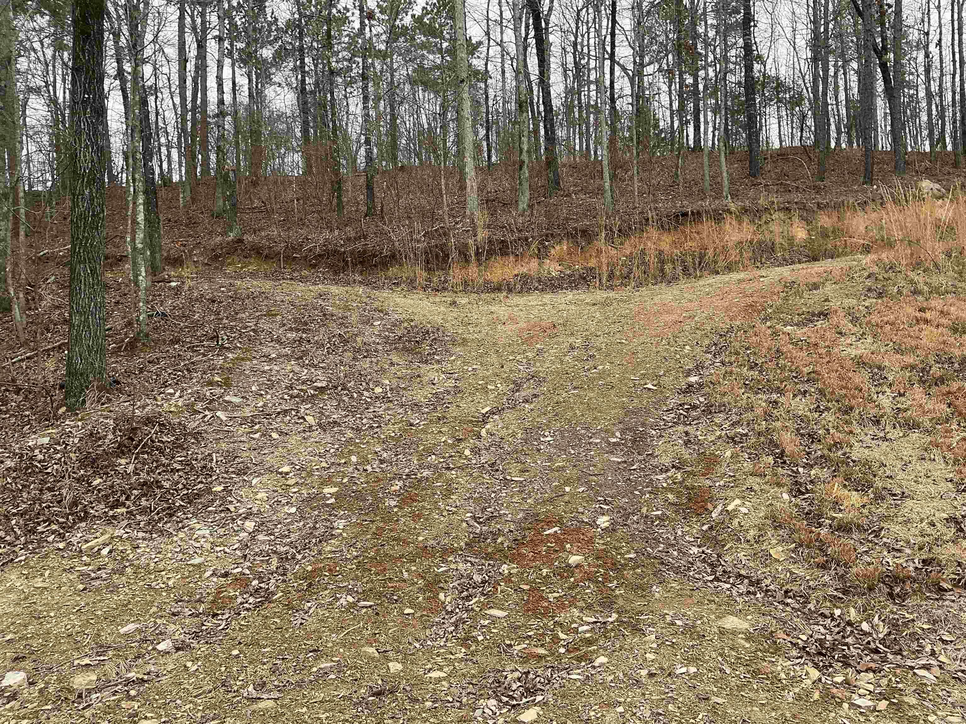 Lakeside Mountain - Land