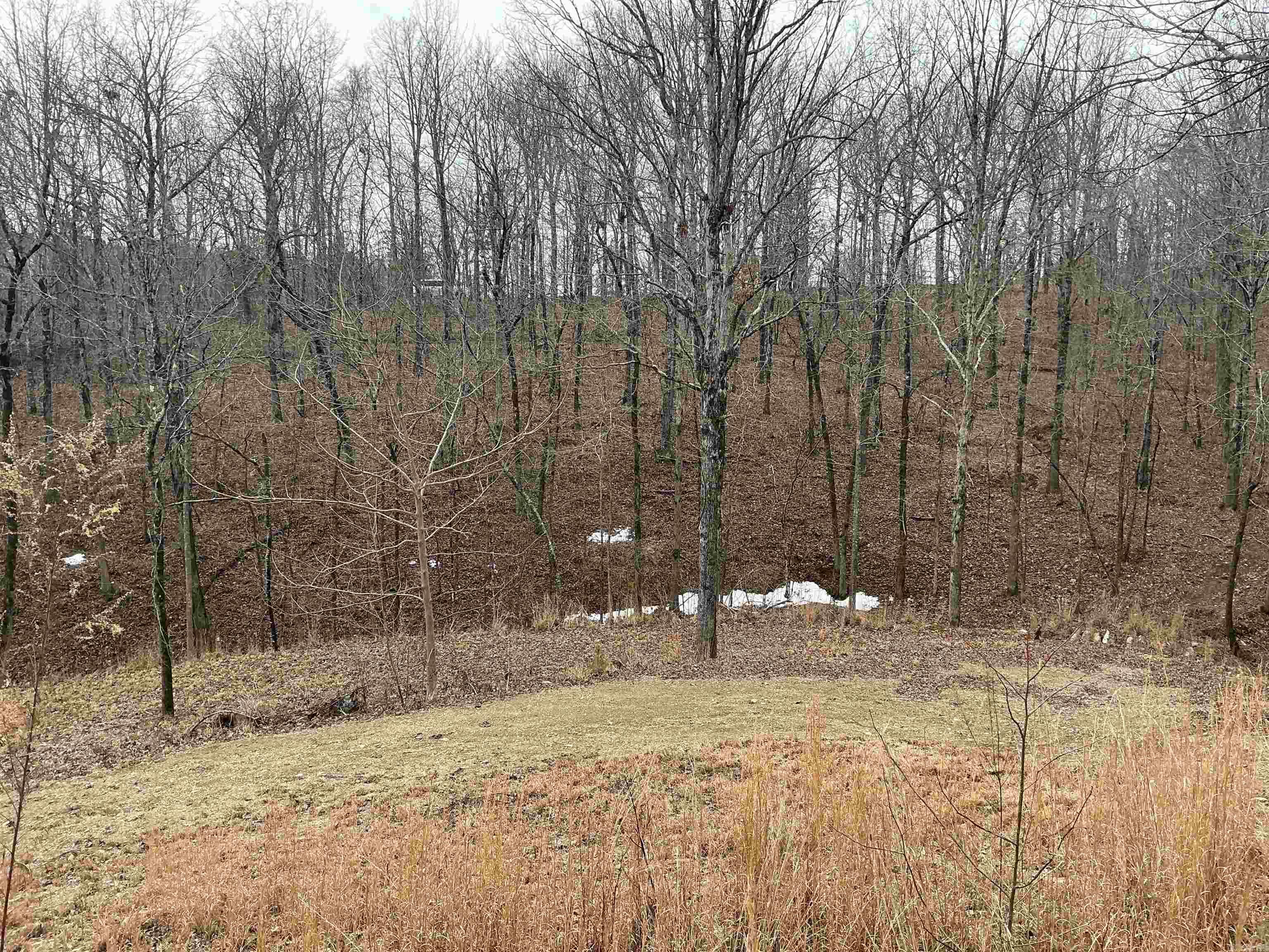 Lakeside Mountain - Land