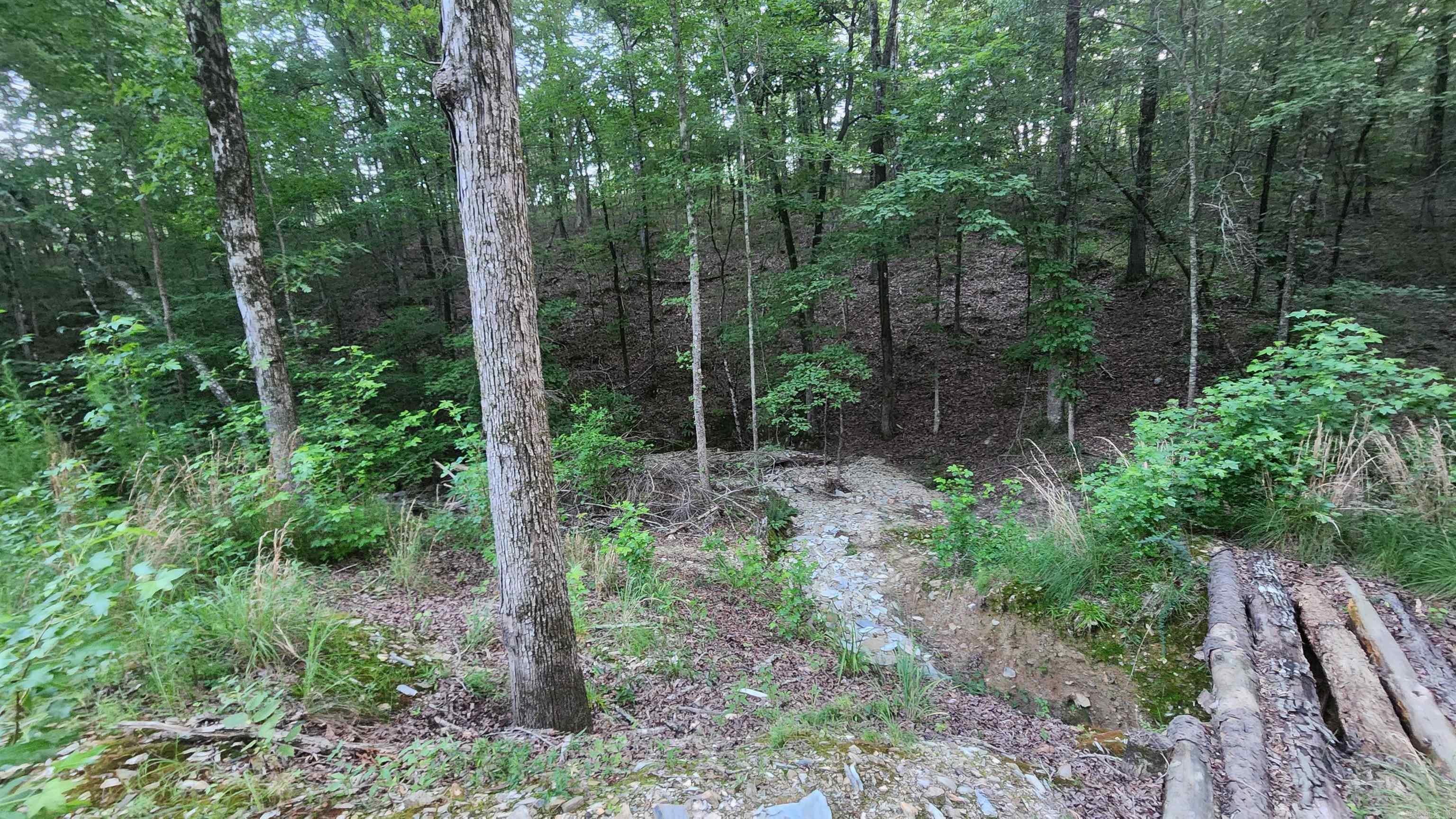 Lakeside Mountain - Land