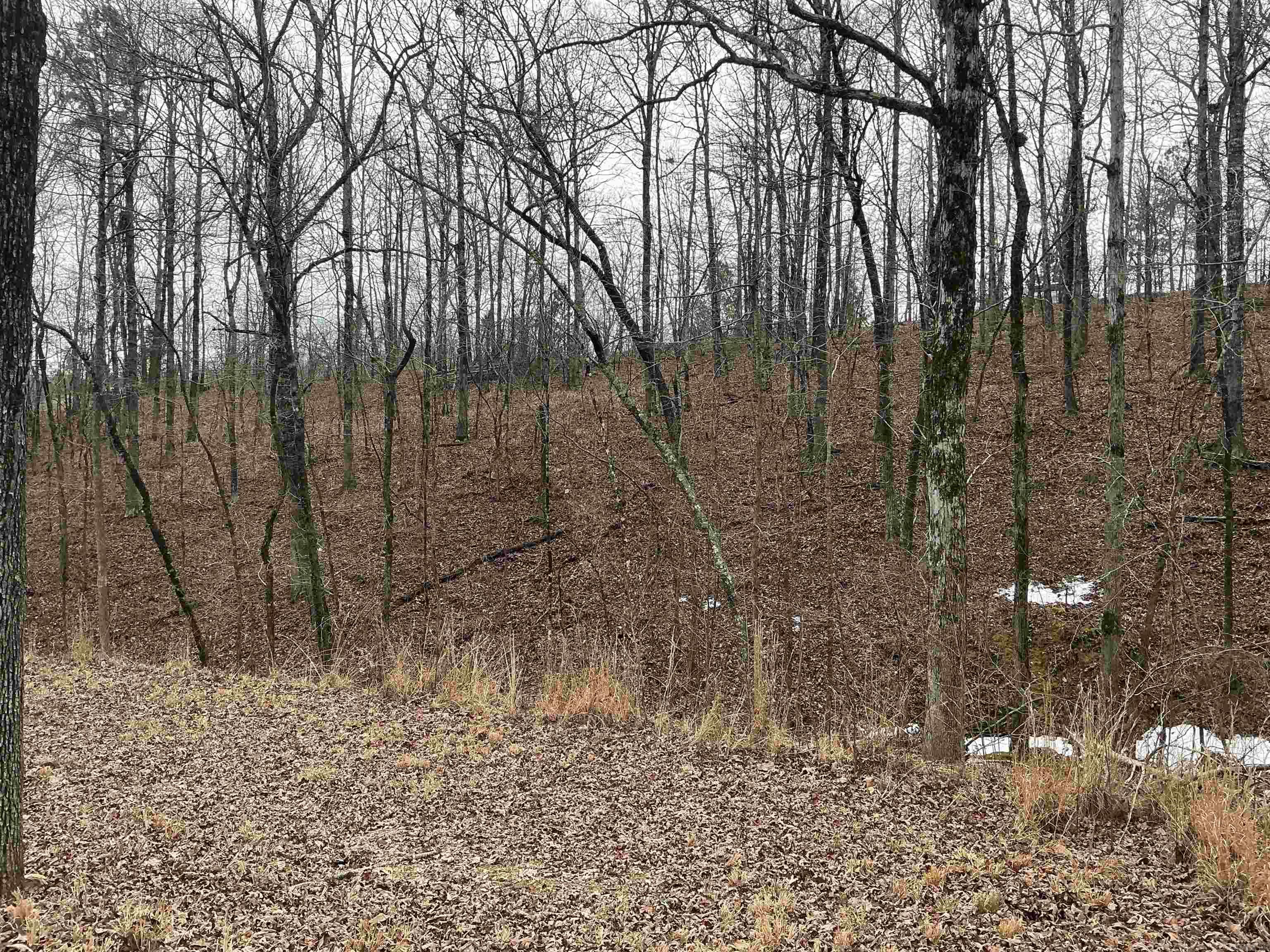 Lakeside Mountain - Land