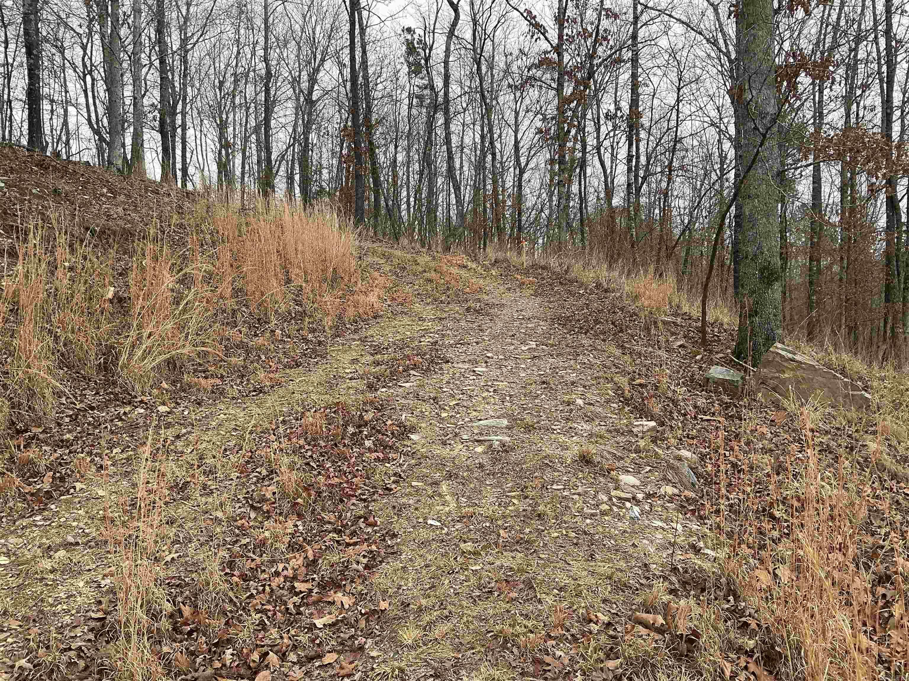 Lakeside Mountain - Land