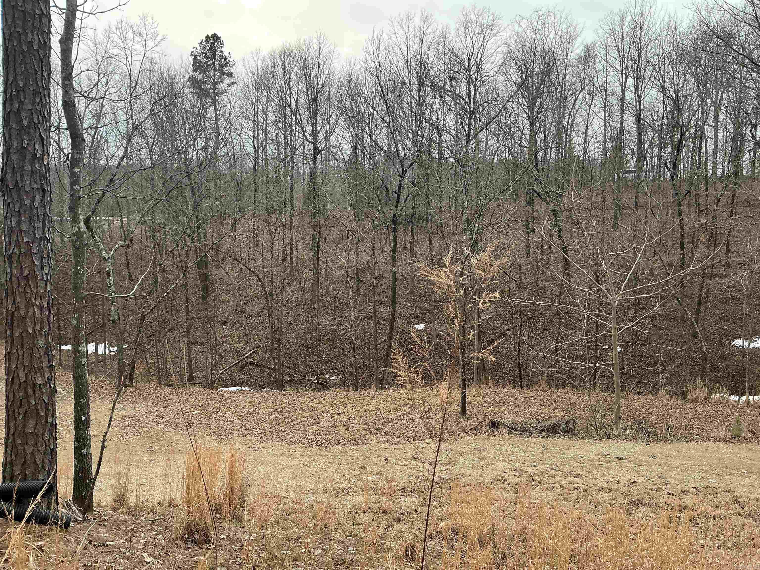 Lakeside Mountain - Land