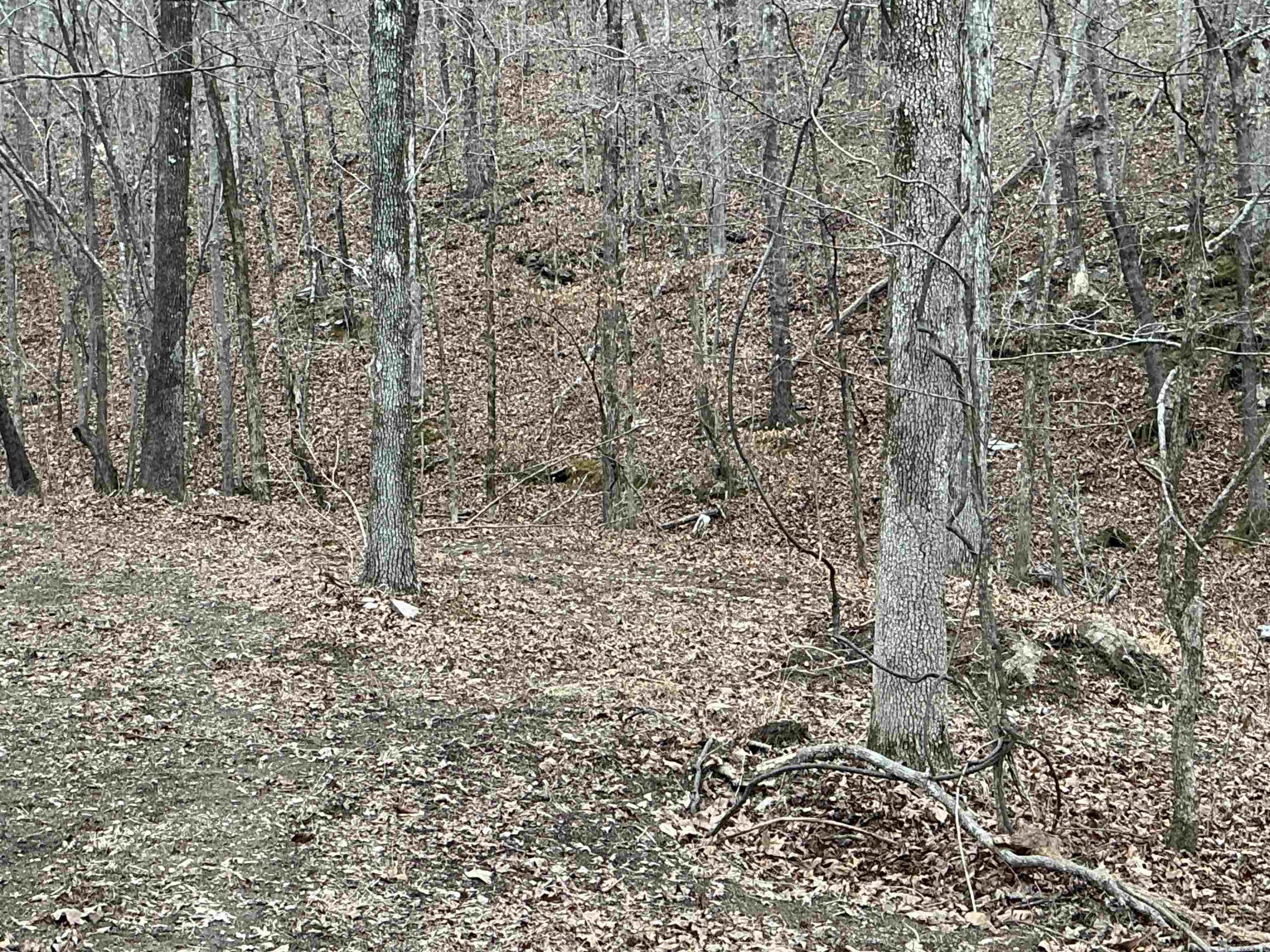 Lakeside Mountain - Land