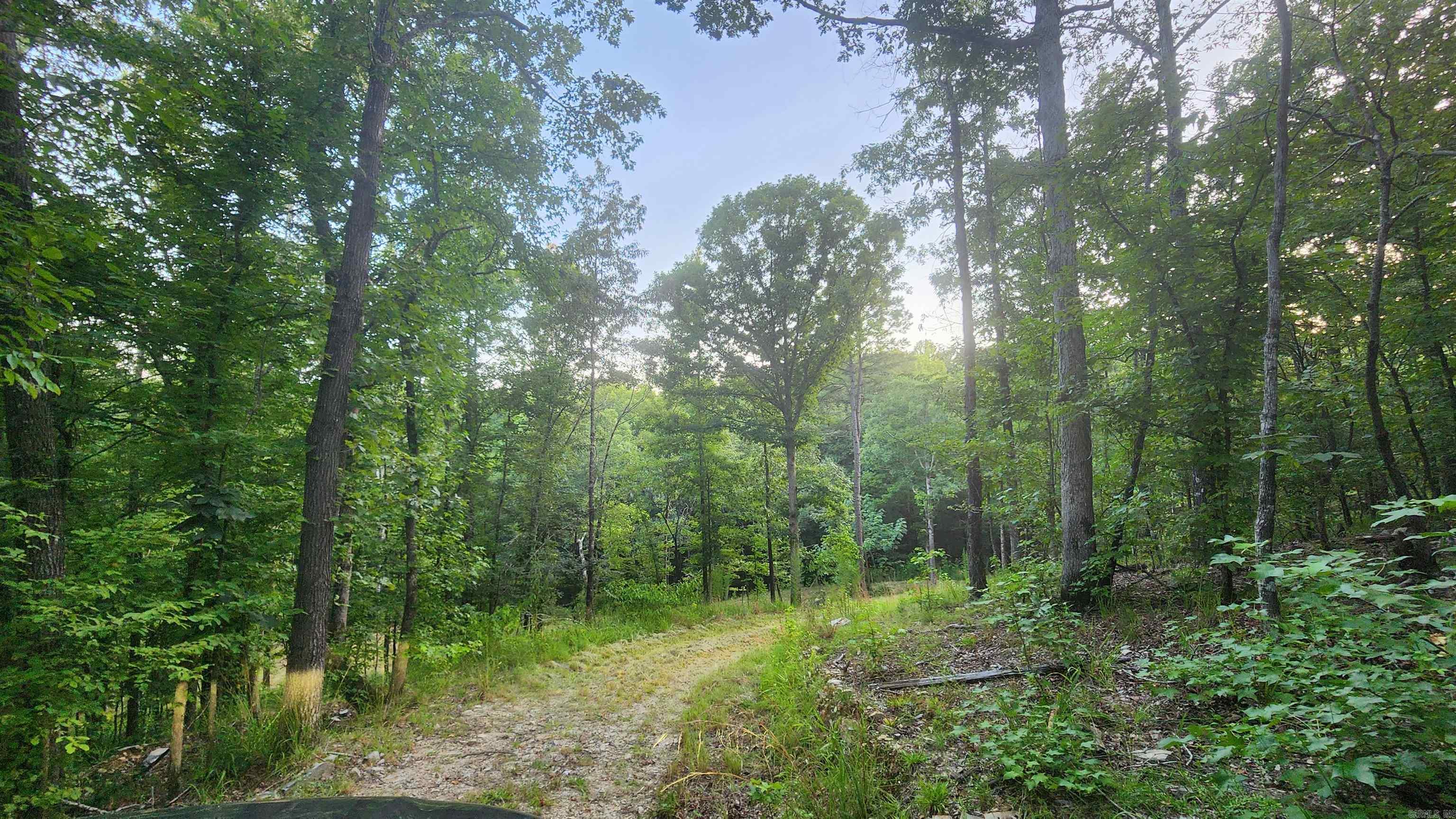 Lakeside Mountain - Land