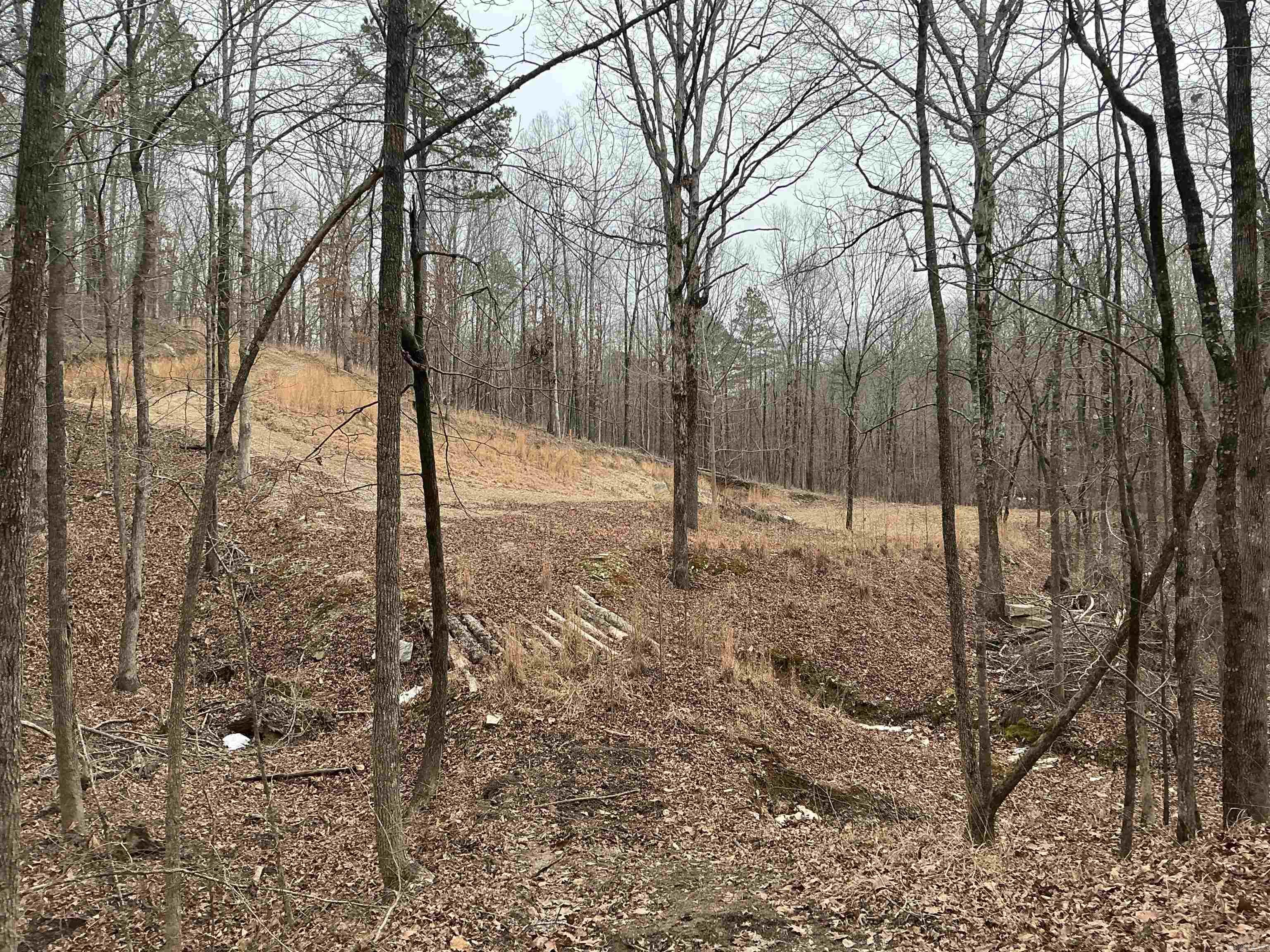 Lakeside Mountain - Land