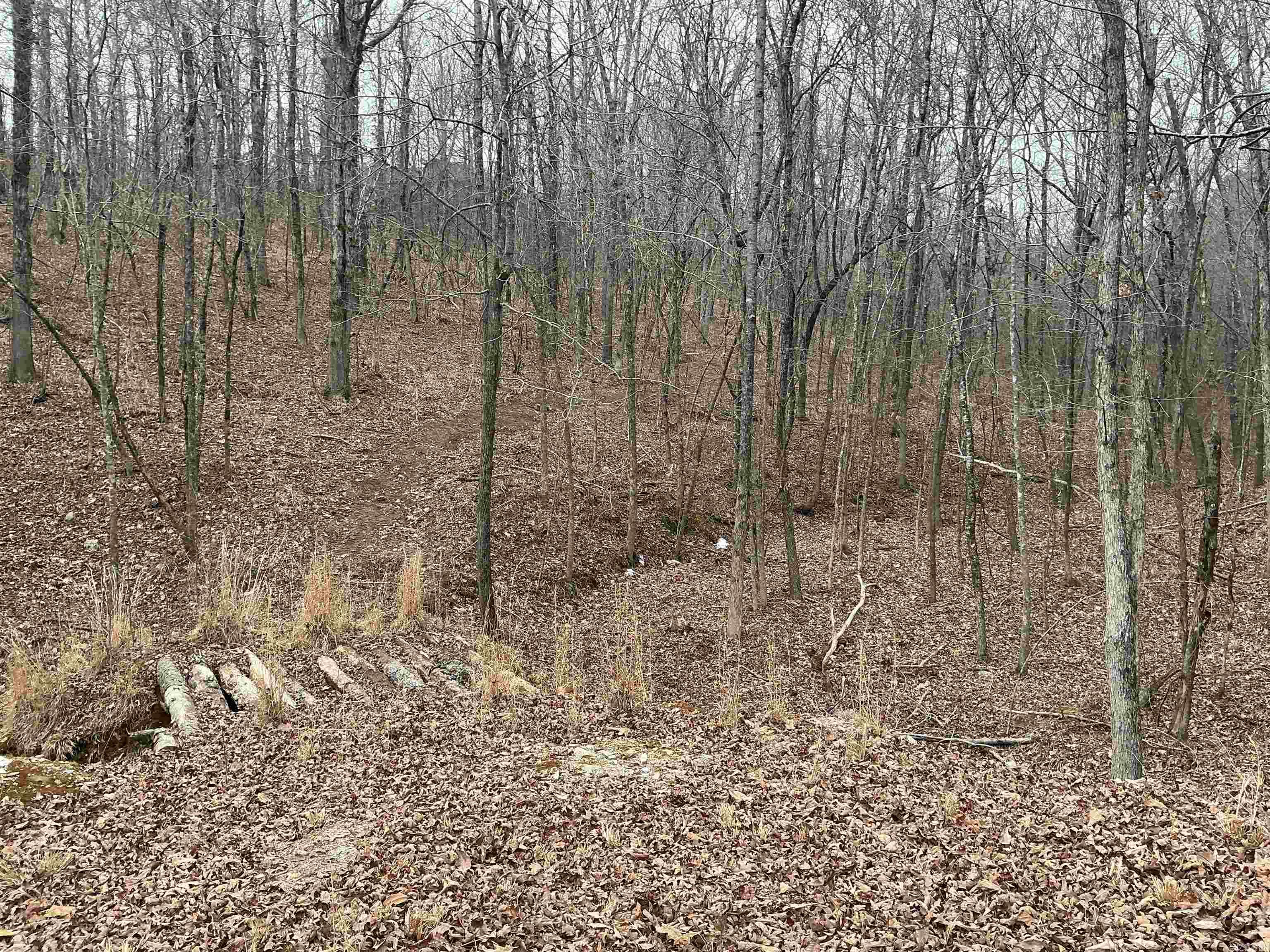 Lakeside Mountain - Land