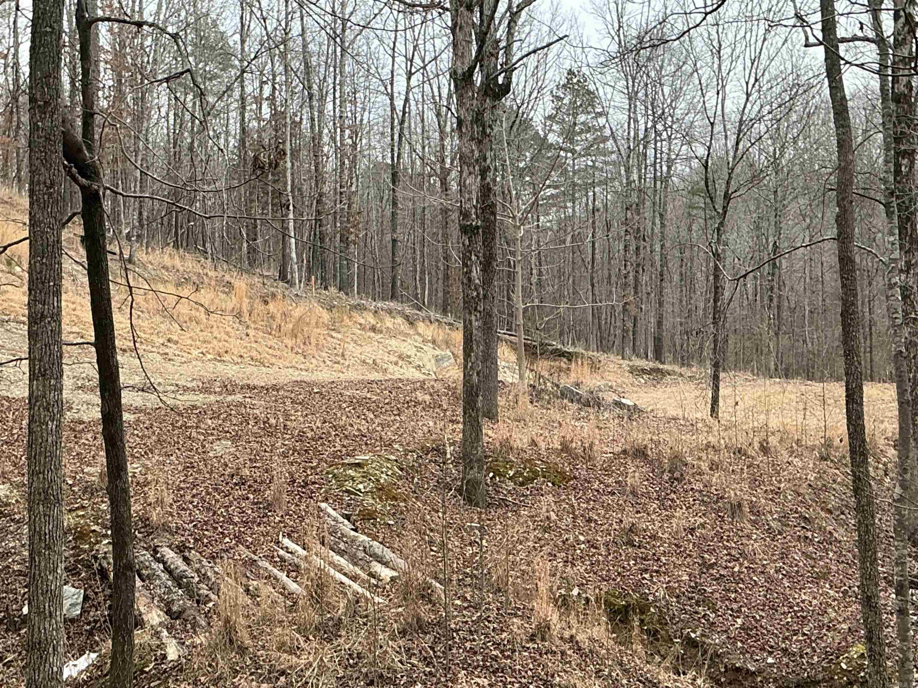 Lakeside Mountain - Land