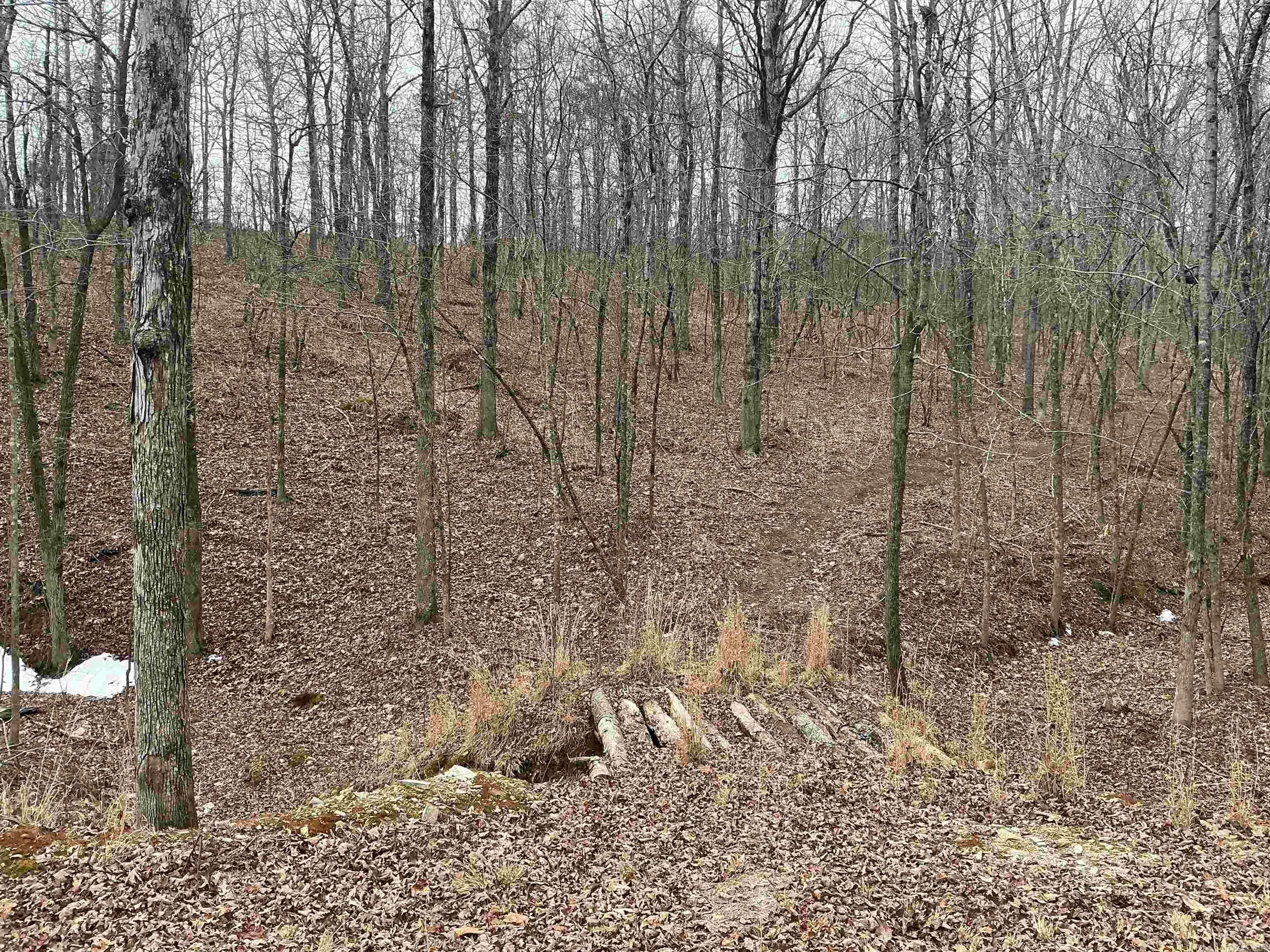 Lakeside Mountain - Land