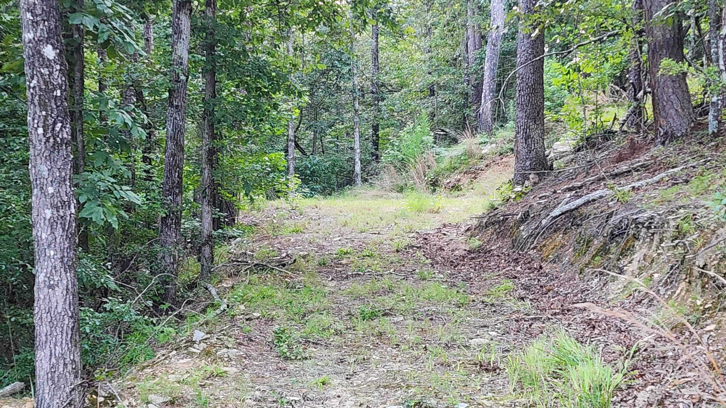 Lakeside Mountain - Land