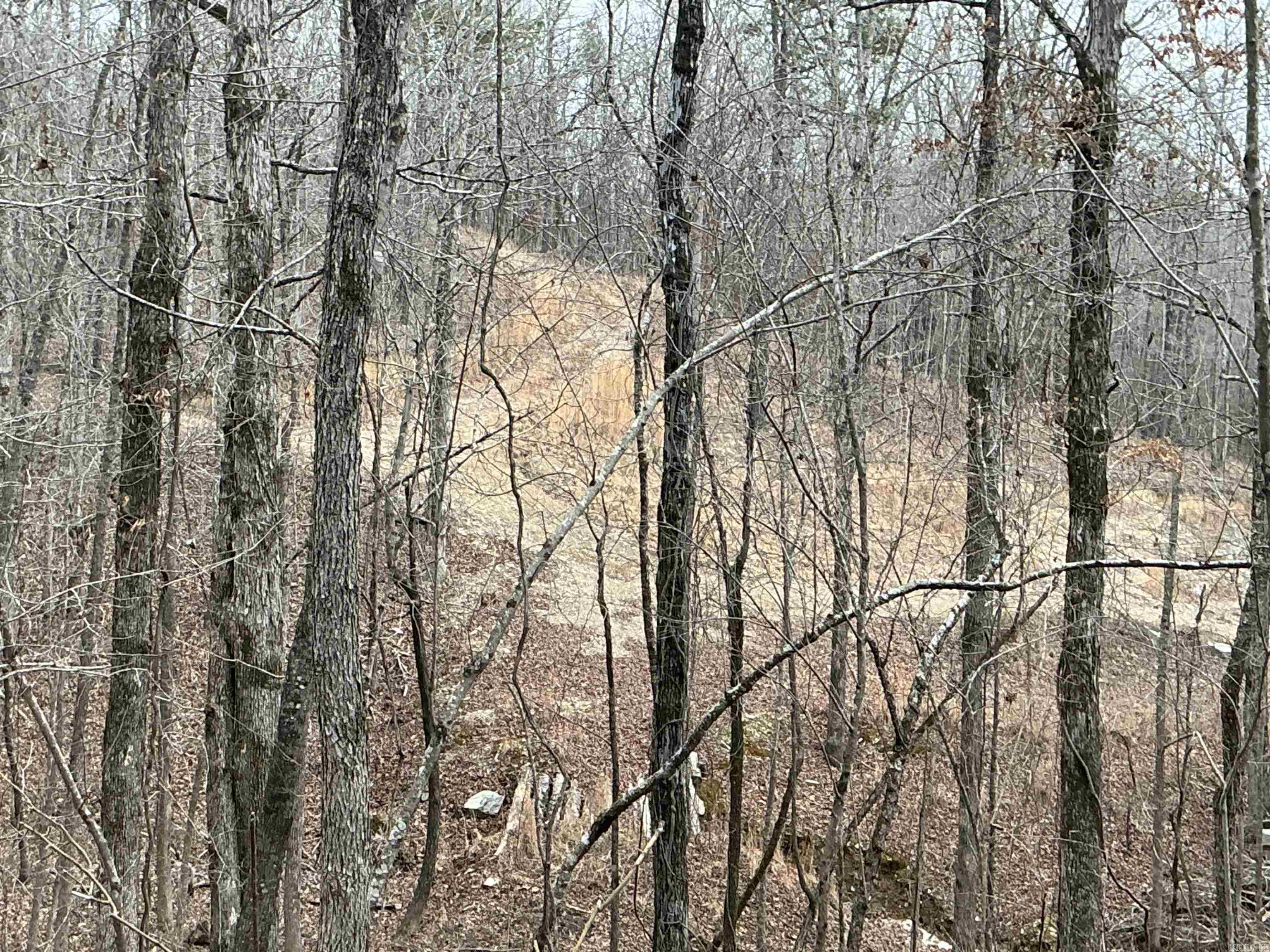 Lakeside Mountain - Land