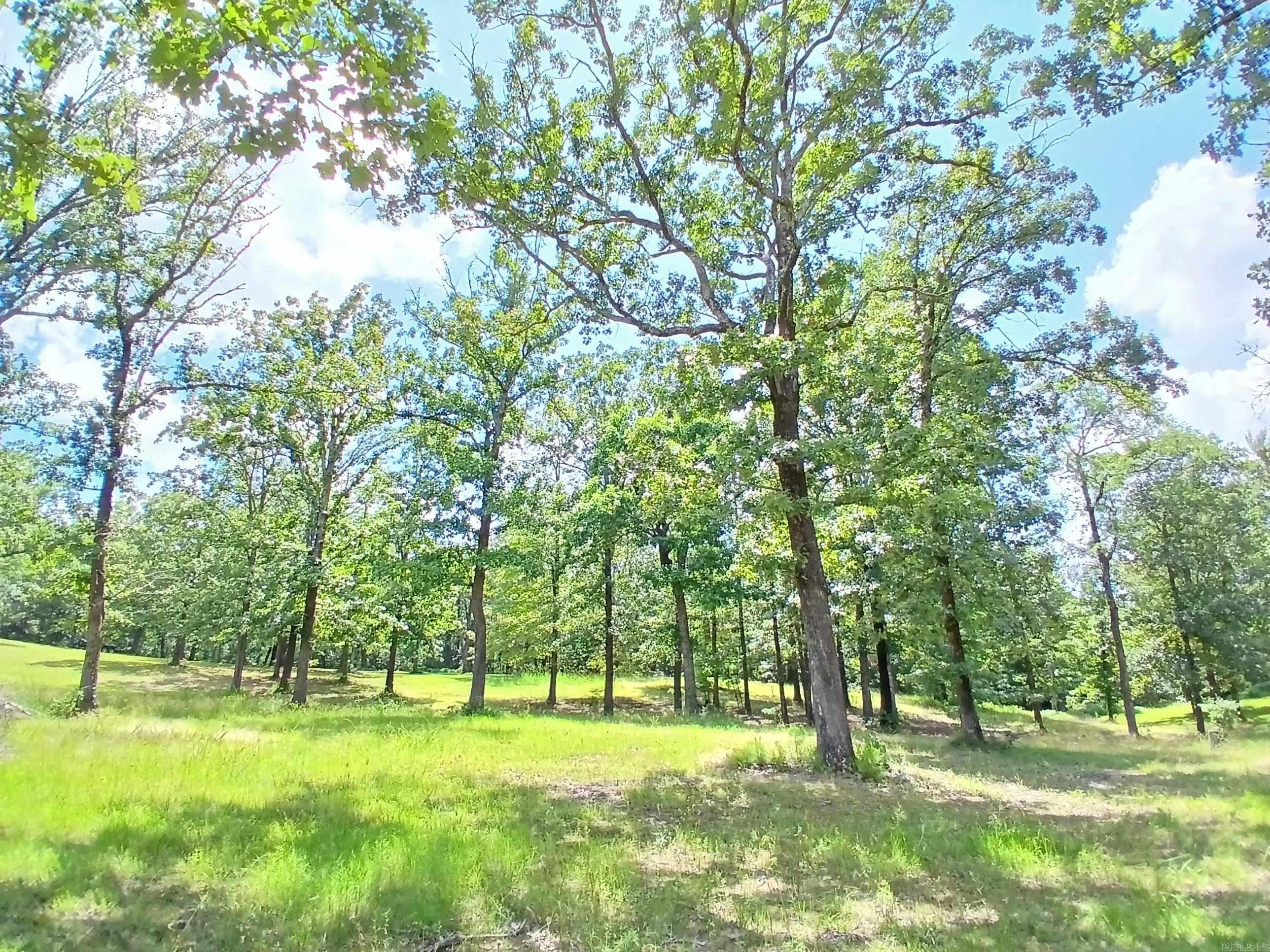 Lake Hamilton-Outside - Residential