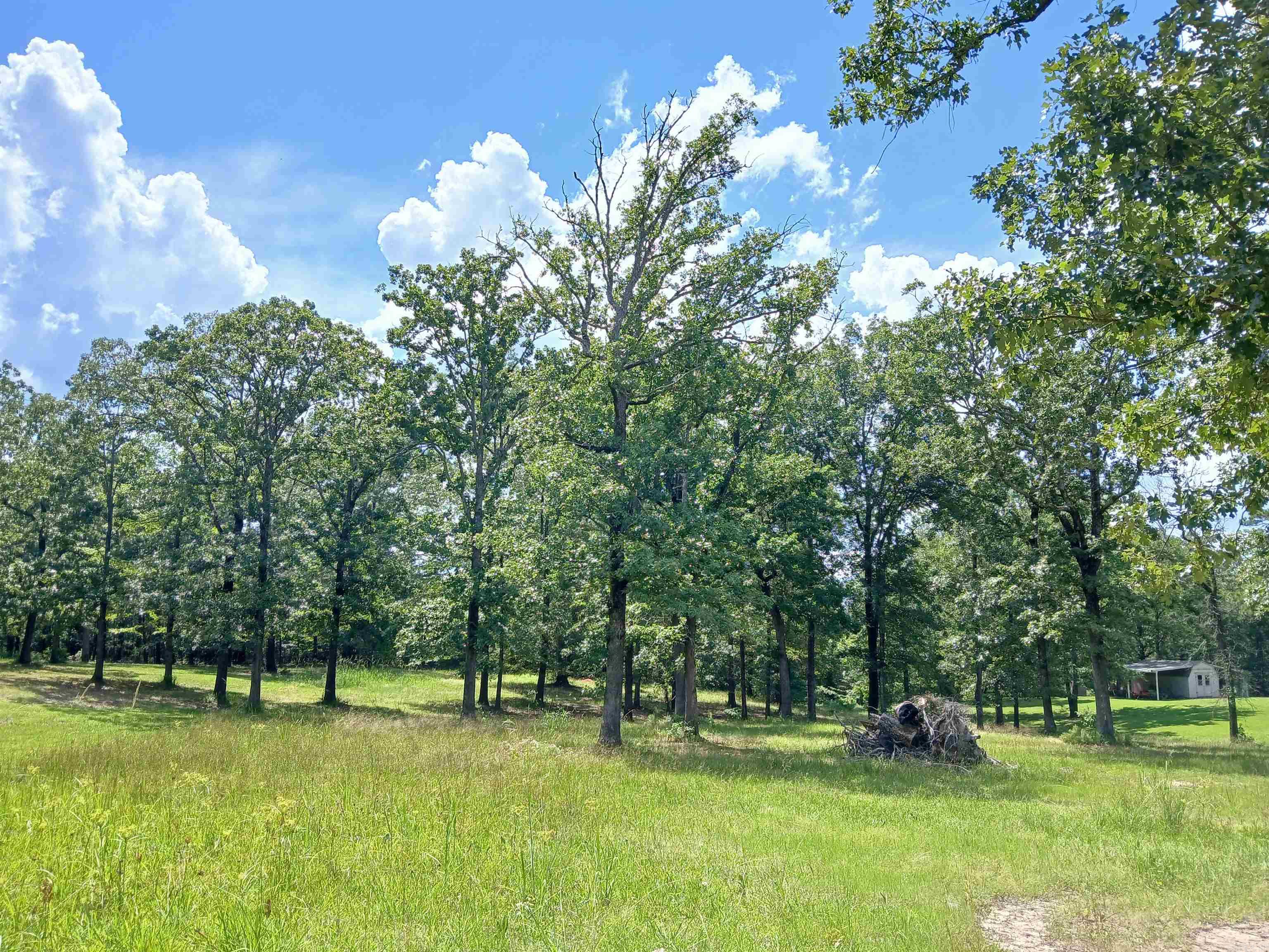 Lake Hamilton-Outside - Residential