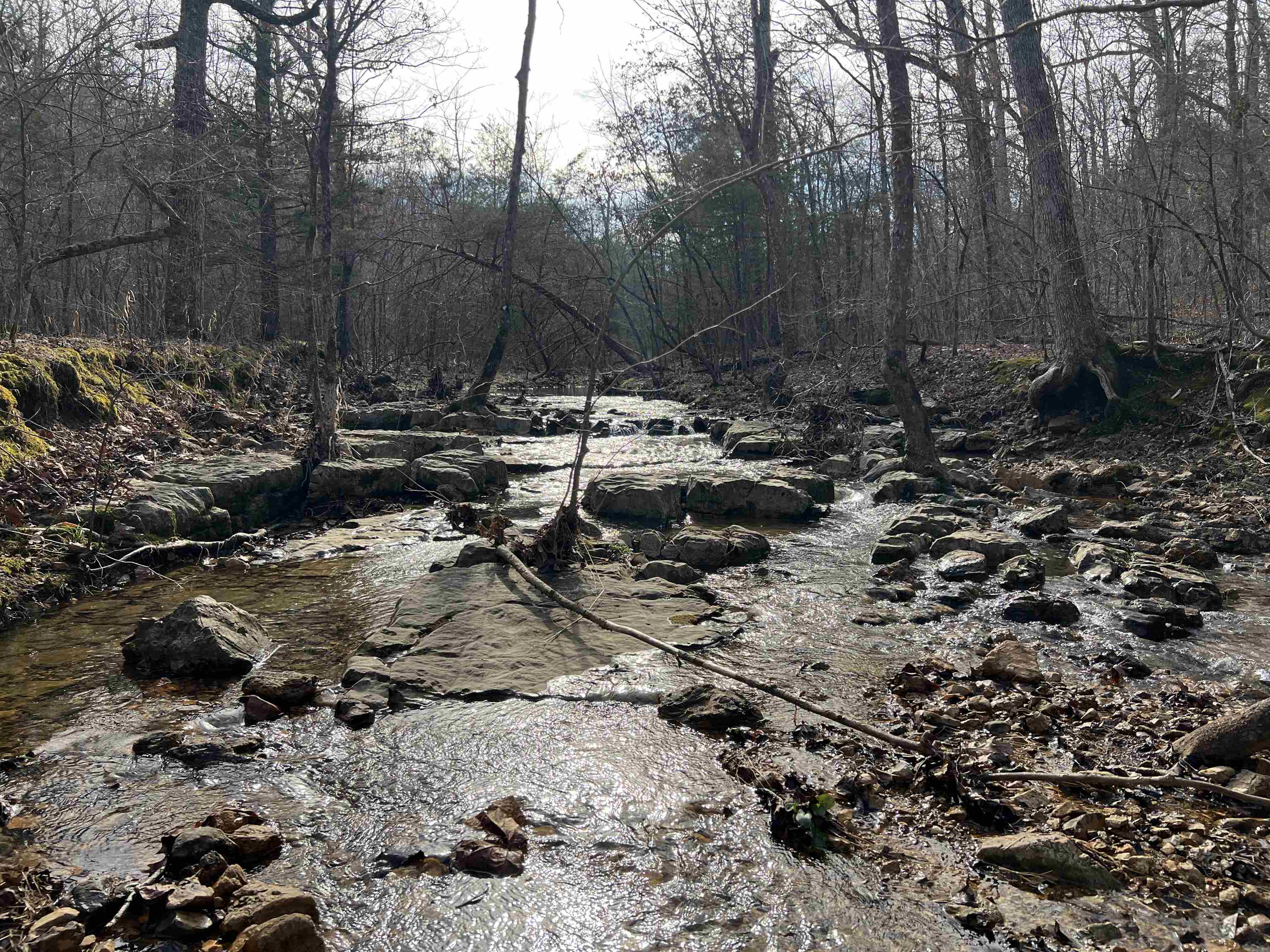 White Horse Mountain - Residential