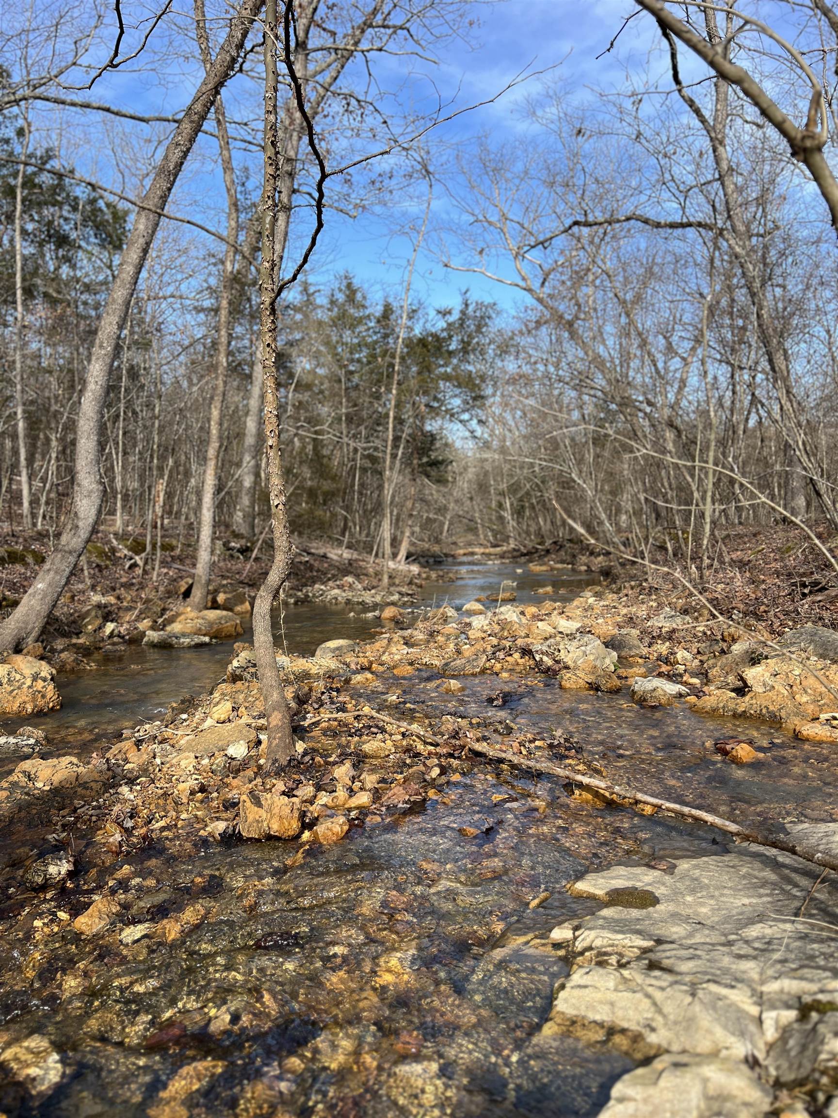 White Horse Mountain - Residential