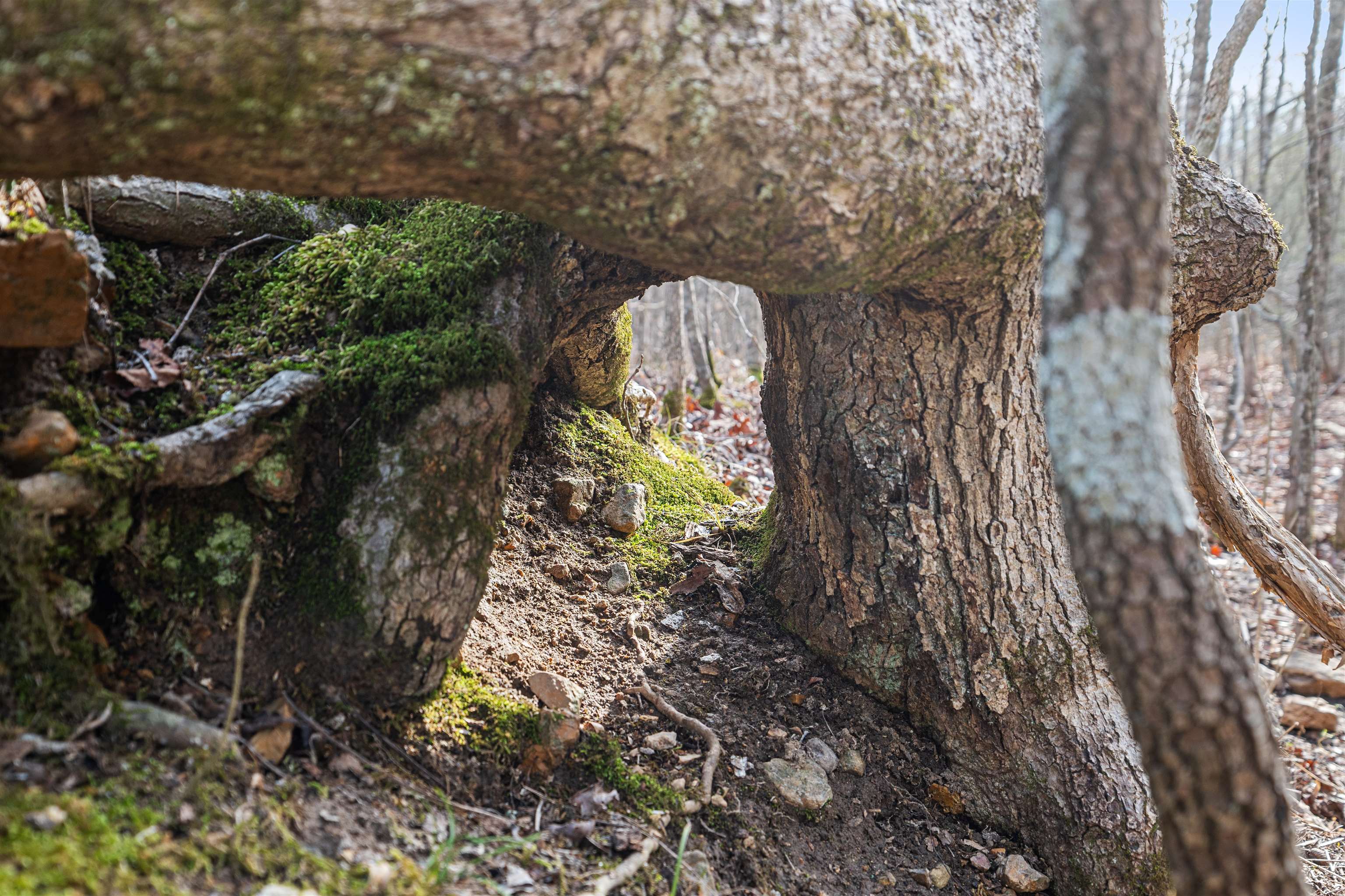 White Horse Mountain - Residential