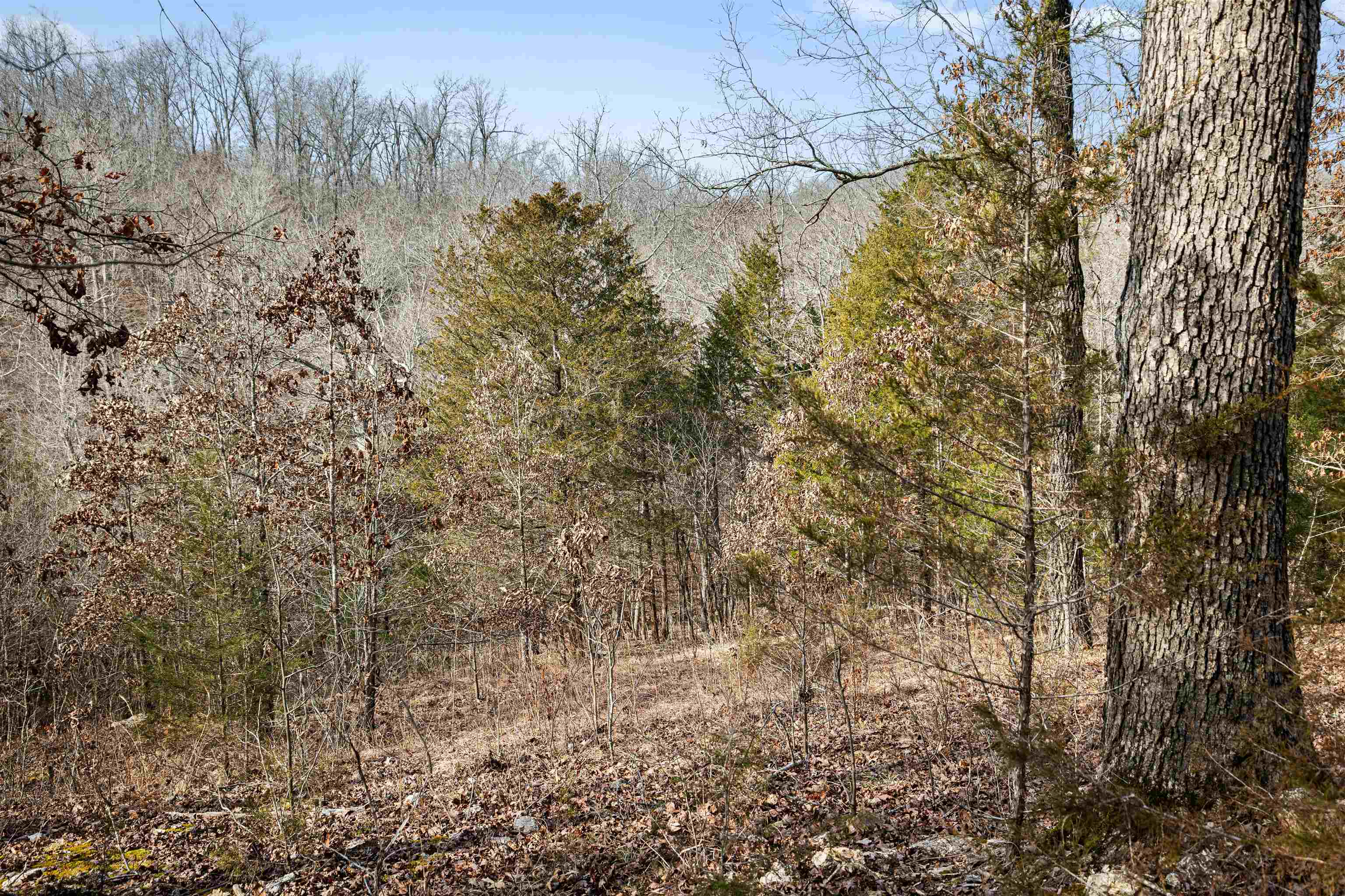 White Horse Mountain - Residential