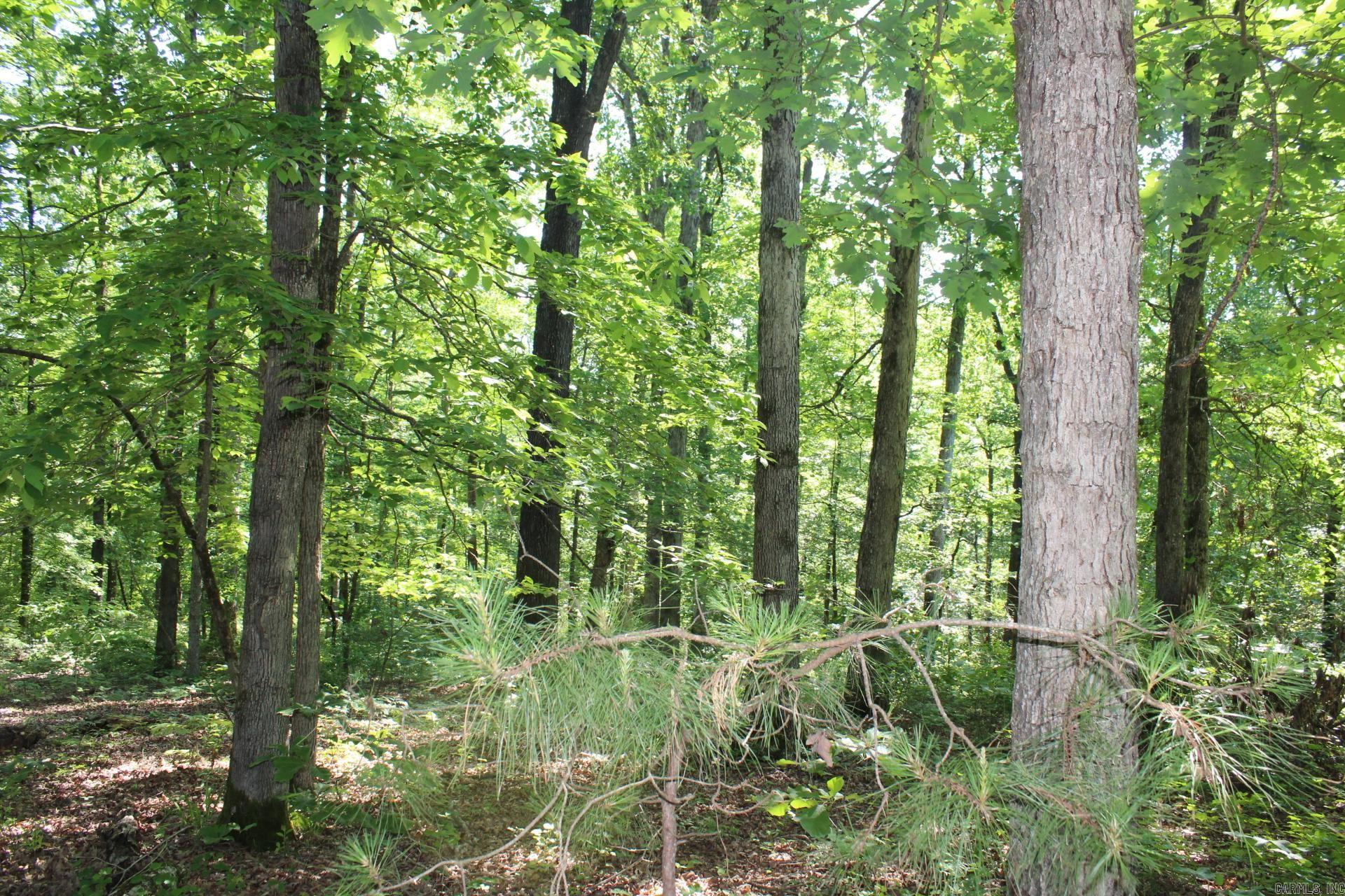 Metes & Bounds - Land