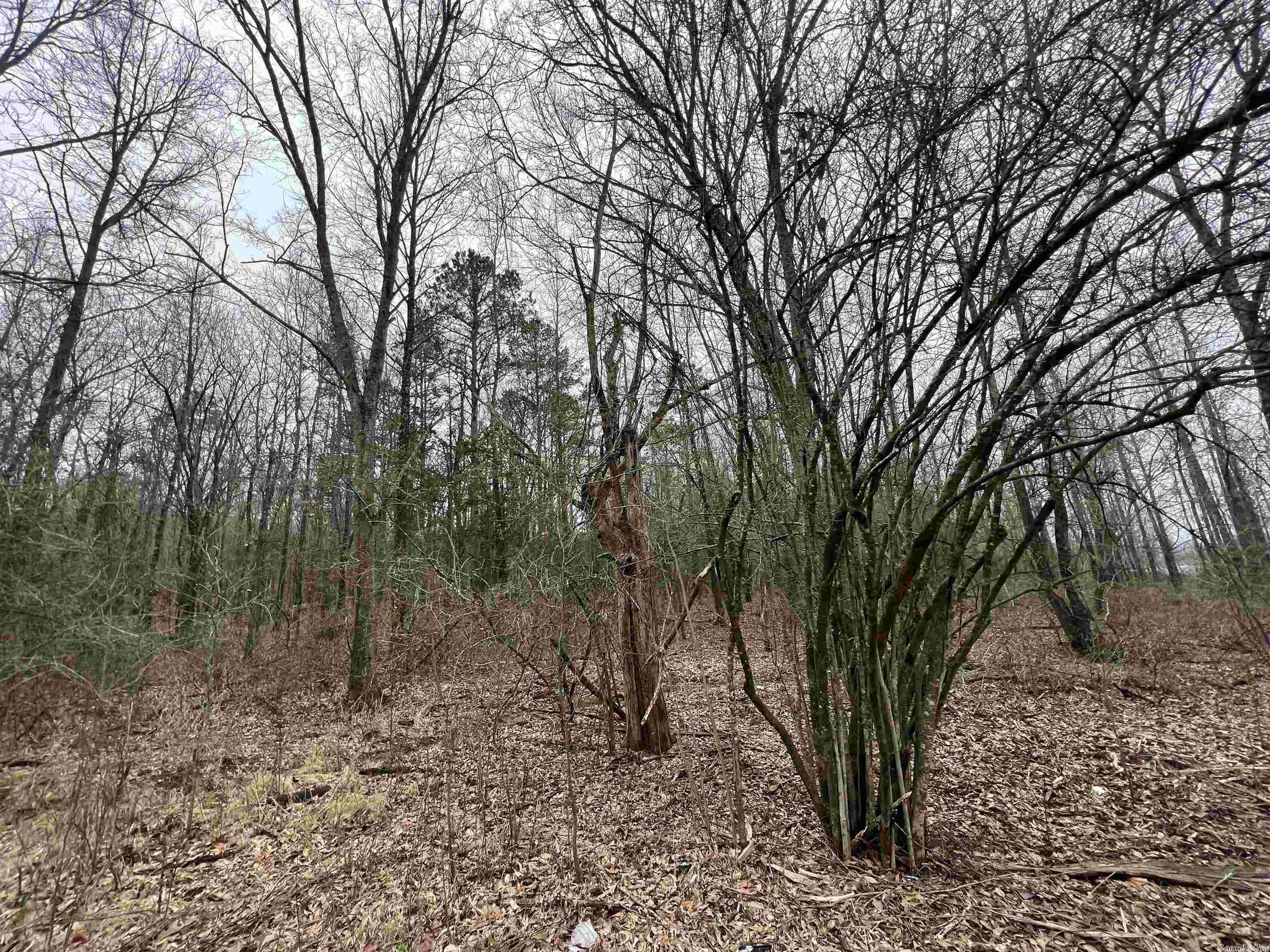 Metes & Bounds - Land