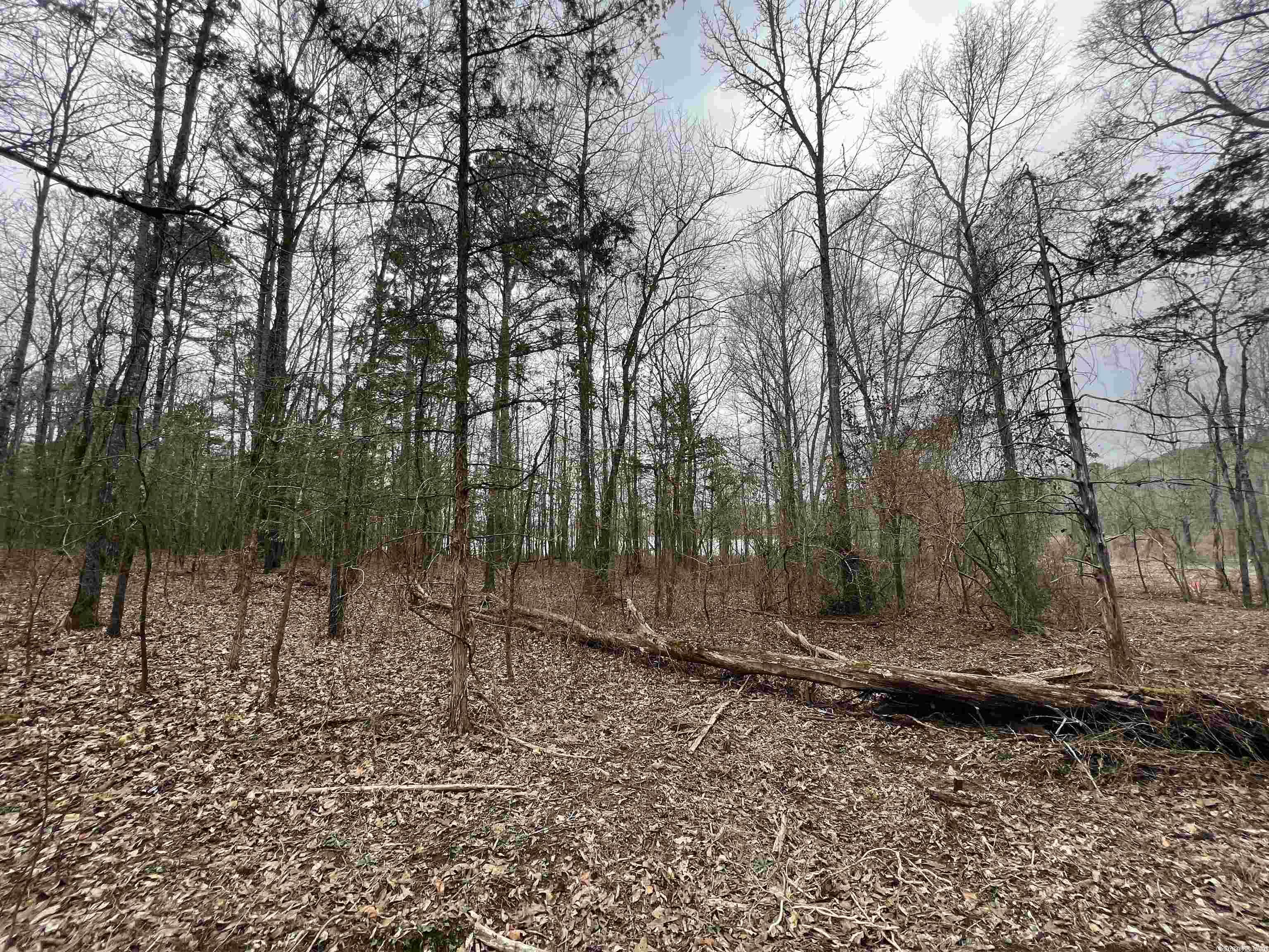 Metes & Bounds - Land