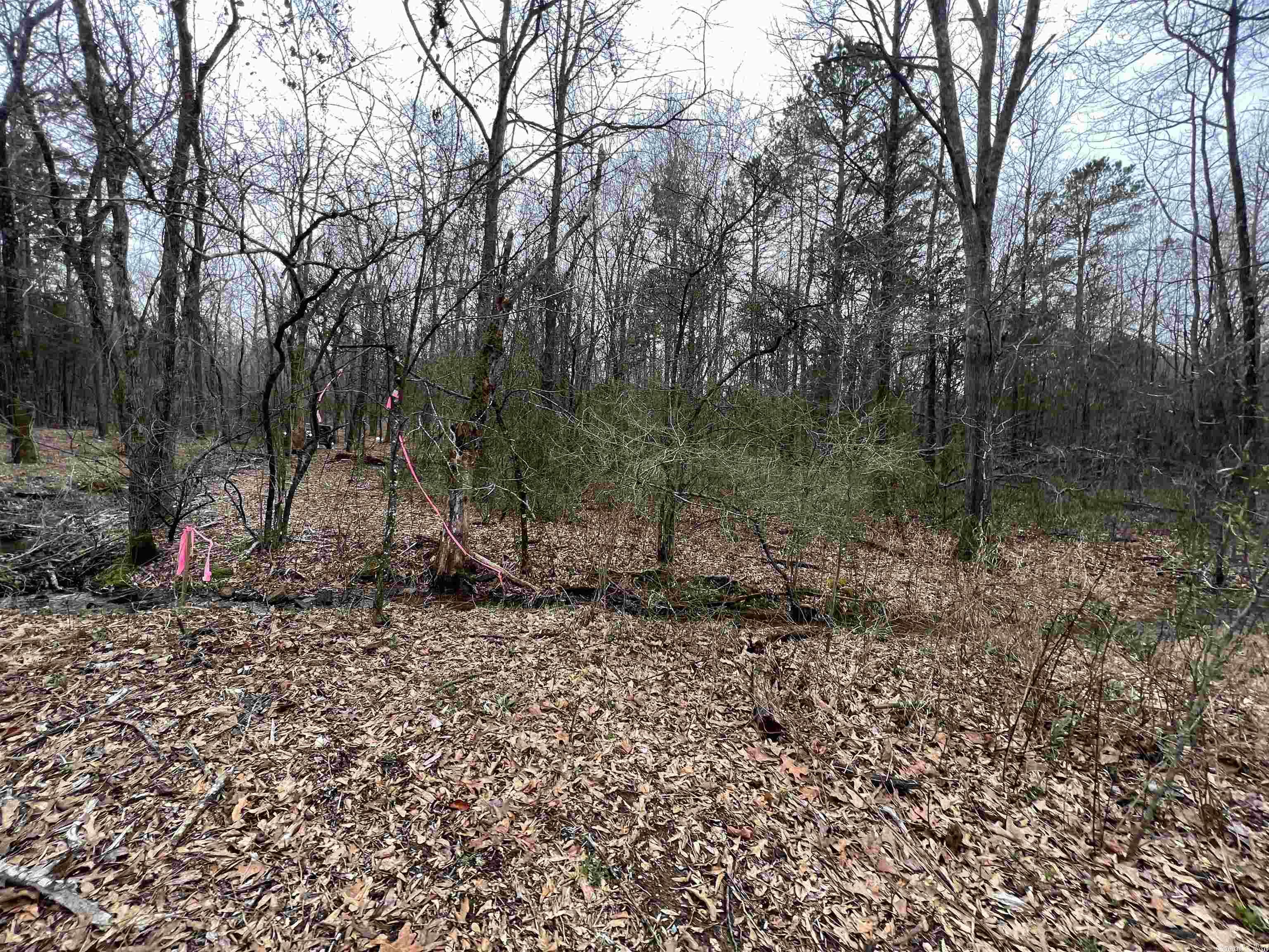 Metes & Bounds - Land