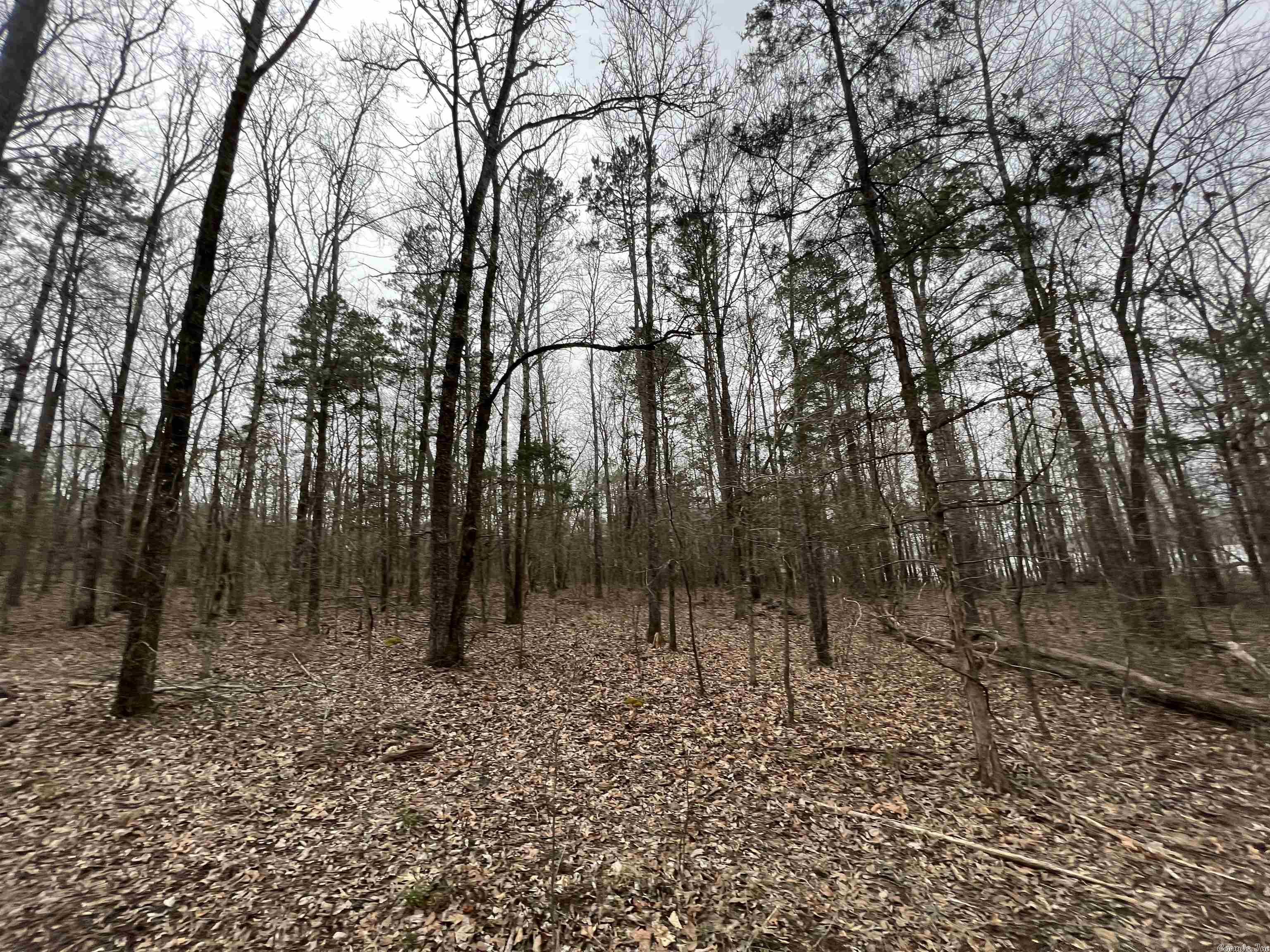 Metes & Bounds - Land