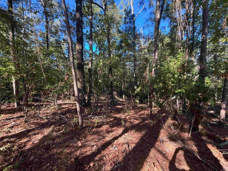 Level lot with city utilities*Brownwood Subdivision*beautiful trees*perfect land for your family to build!*there is an opportunity to buy another 1/2 acre next door.